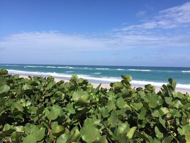 MLS #RX-10531093 image #21