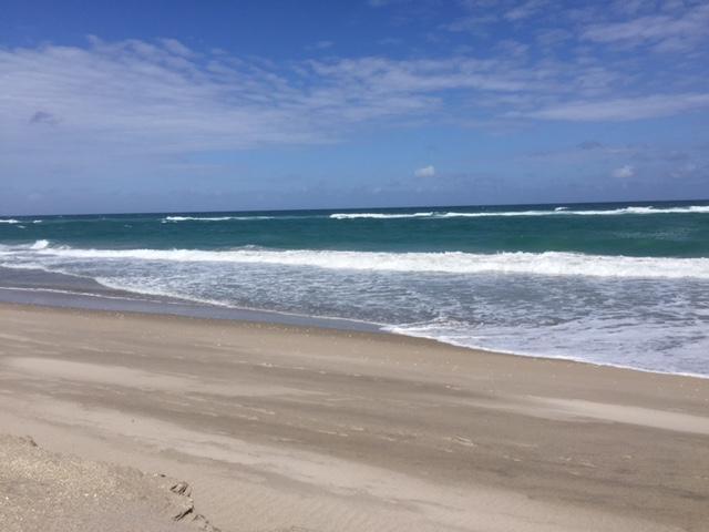 MLS #RX-10531093 image #23