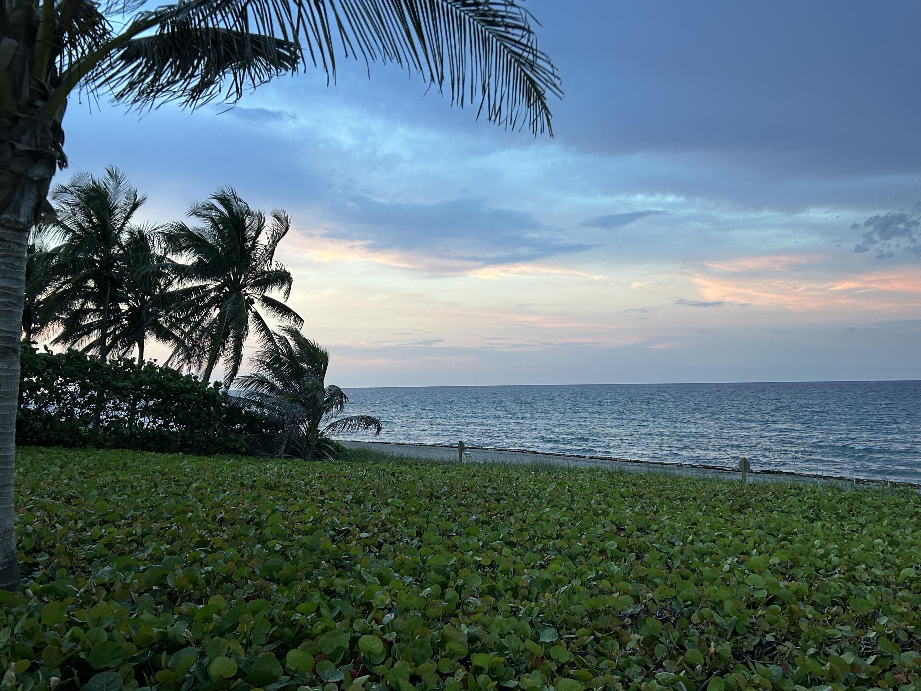 MLS #RX-11092084 img 0