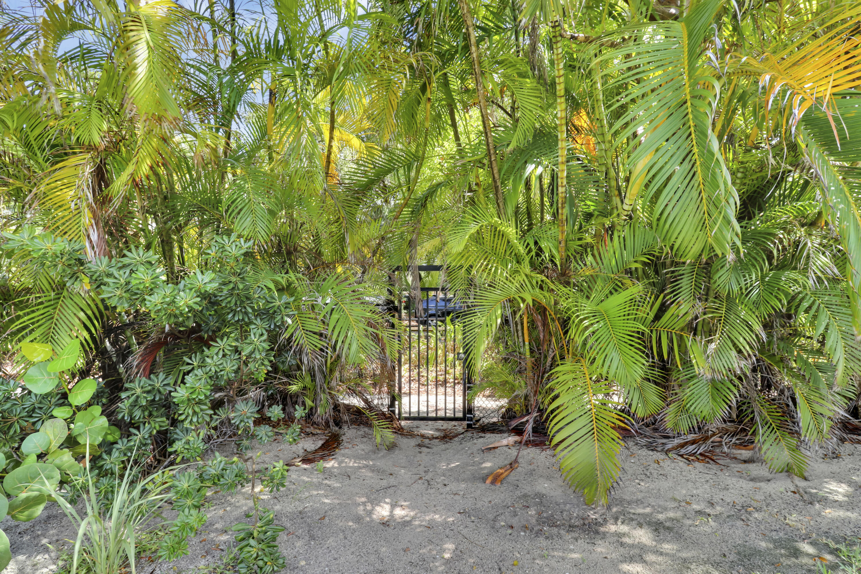 MLS #RX-11094576 image #43