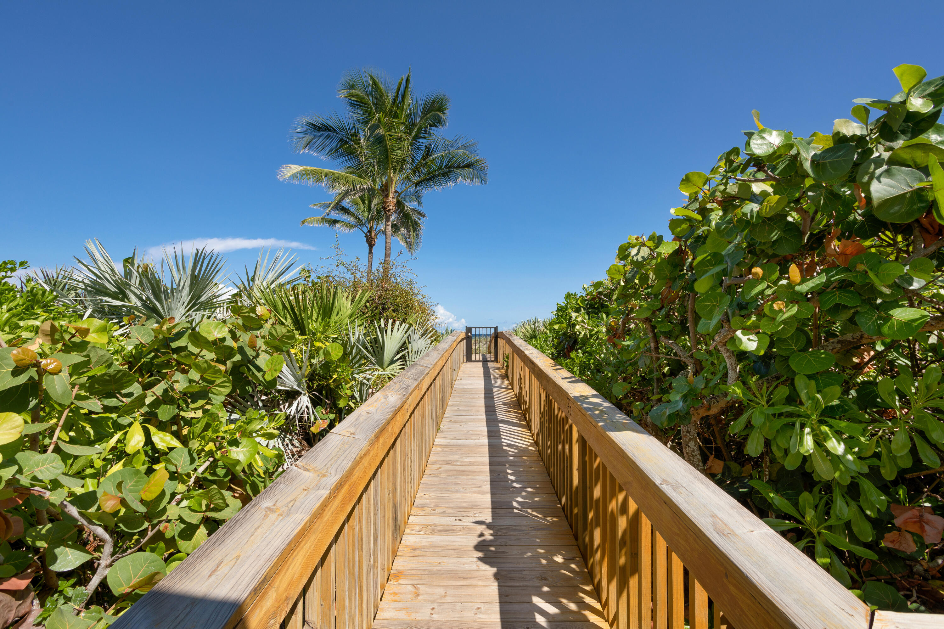 MLS #RX-11095198 image #54