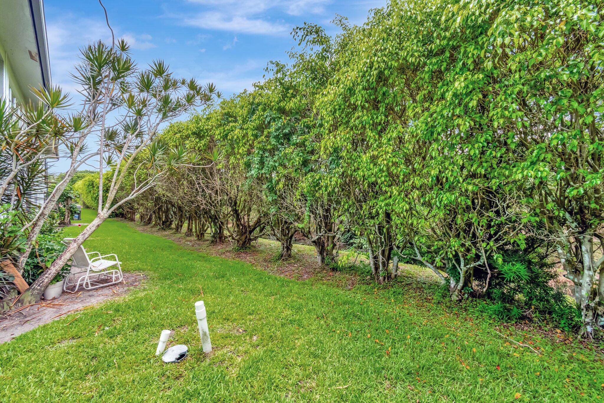 MLS #RX-10666568 image #41