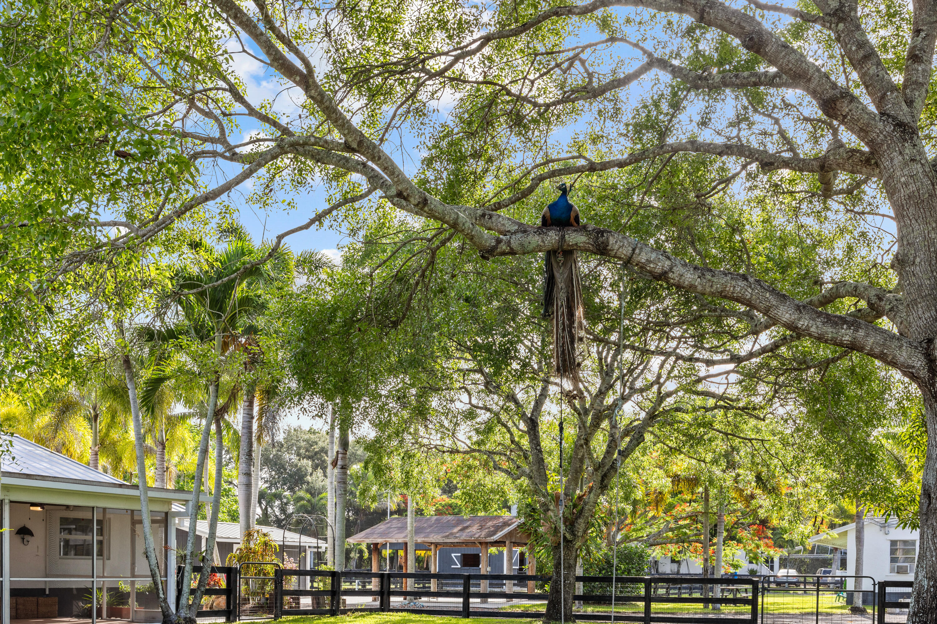 MLS #RX-11096370 image #35