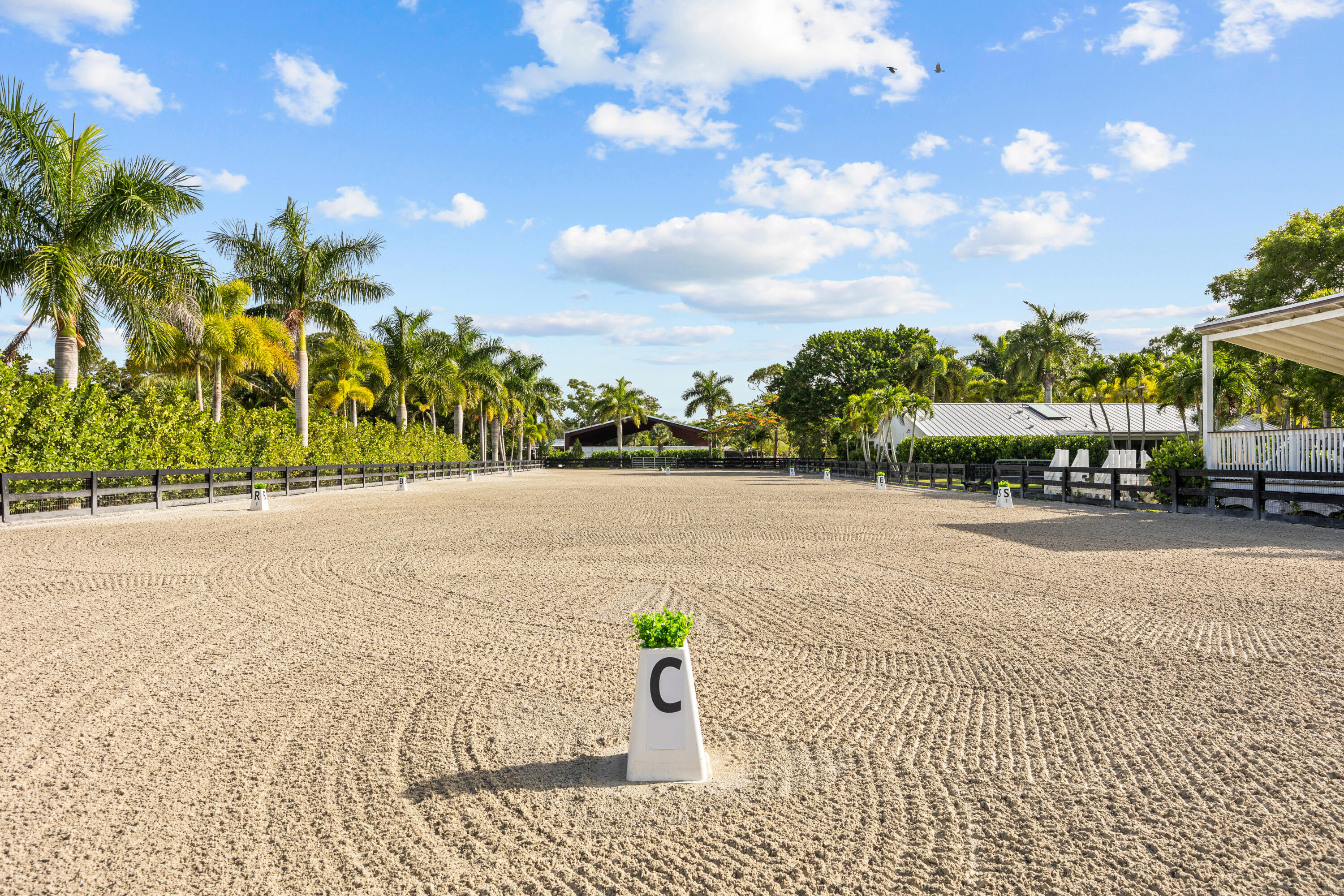 MLS #RX-11096370 image #49