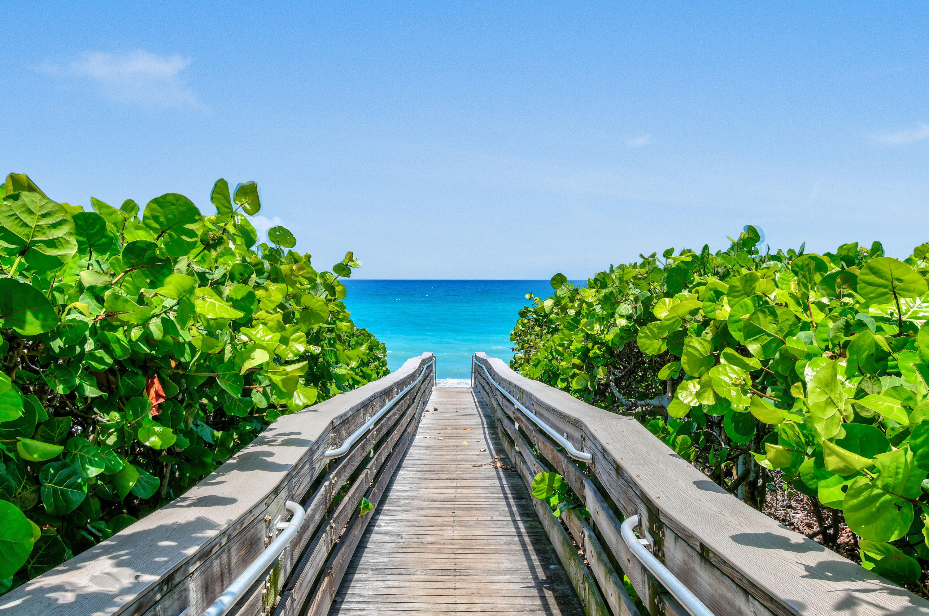 MLS #RX-11097162 image #44