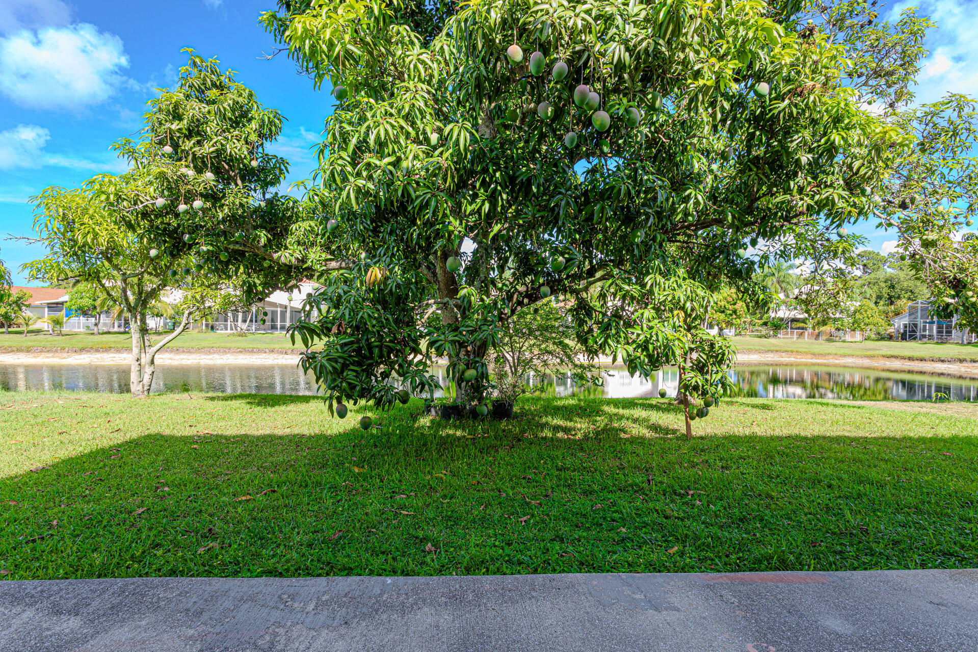 MLS #RX-11099057 image #59