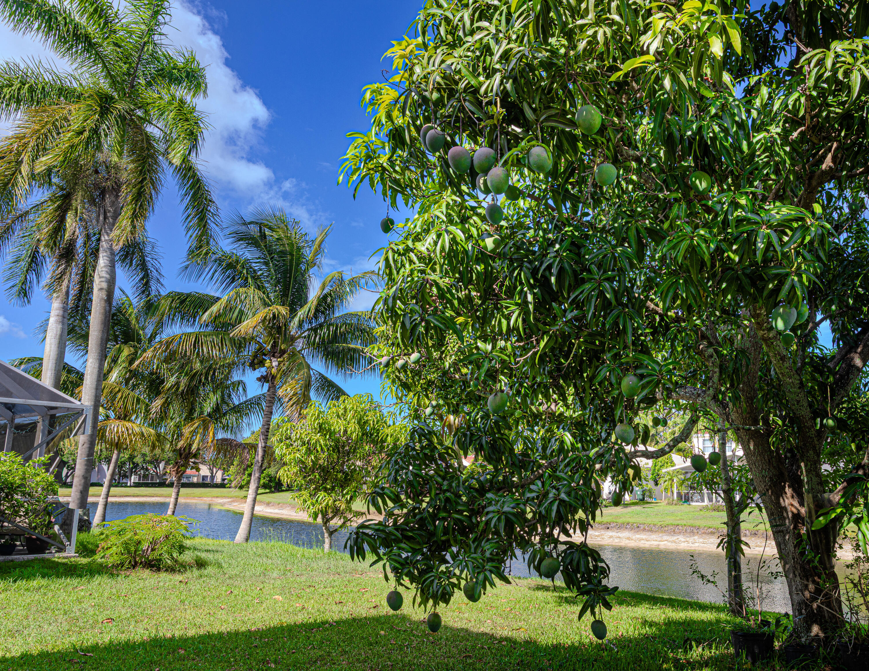 MLS #RX-11099057 image #61