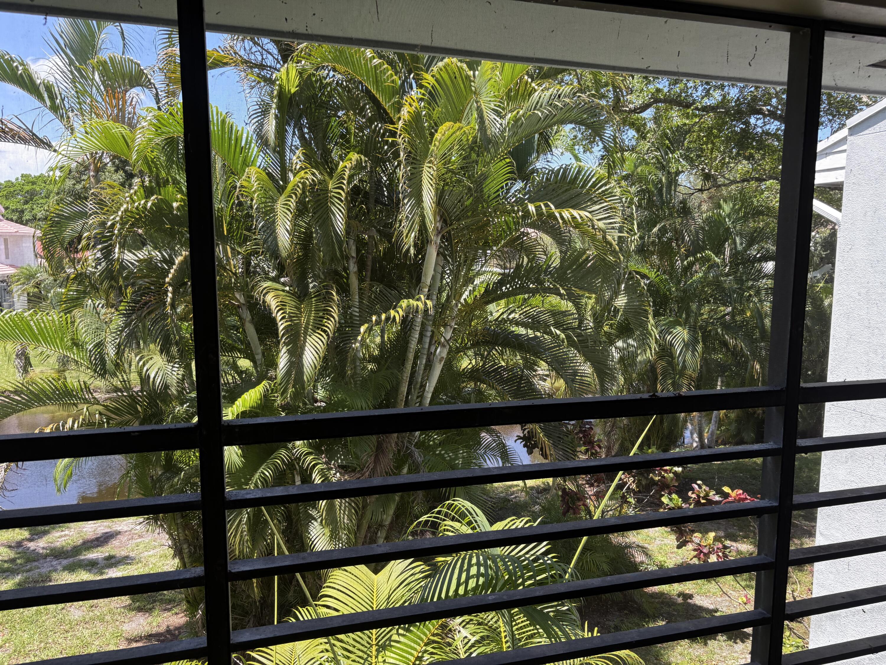 MLS #RX-11099886 image #10