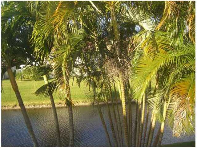 MLS #RX-11099886 image #24