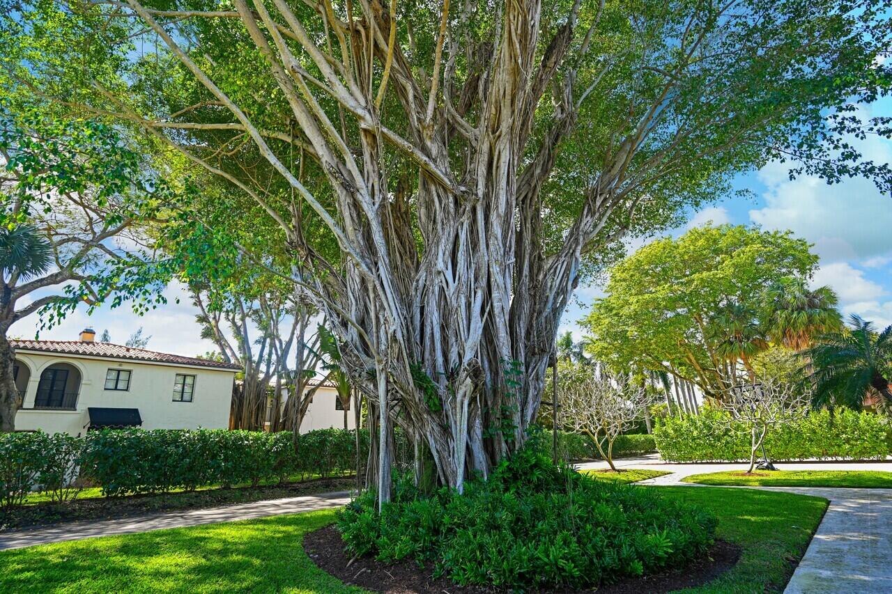 MLS #RX-11100385 image #56