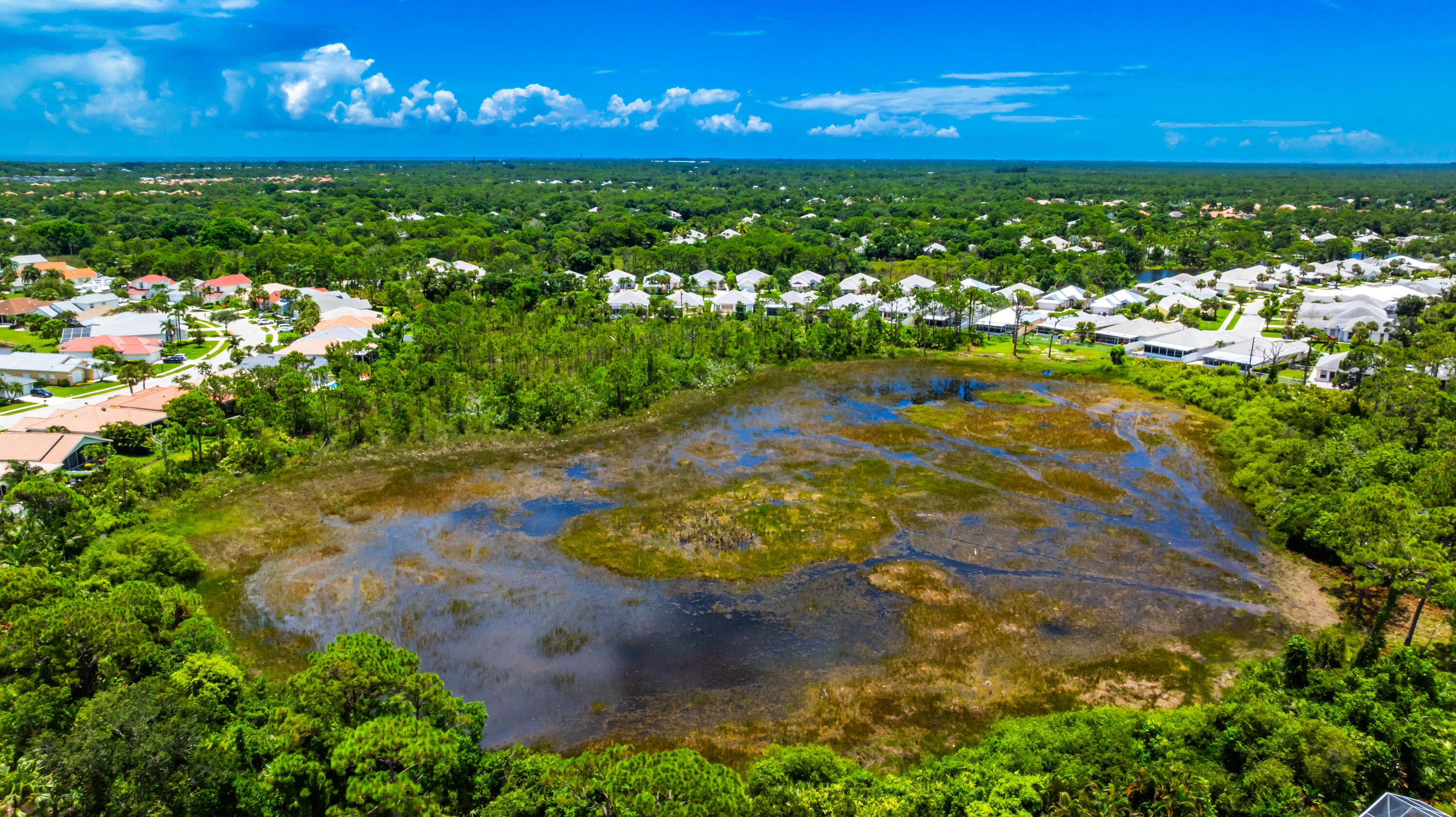 MLS #RX-11100404 image #19