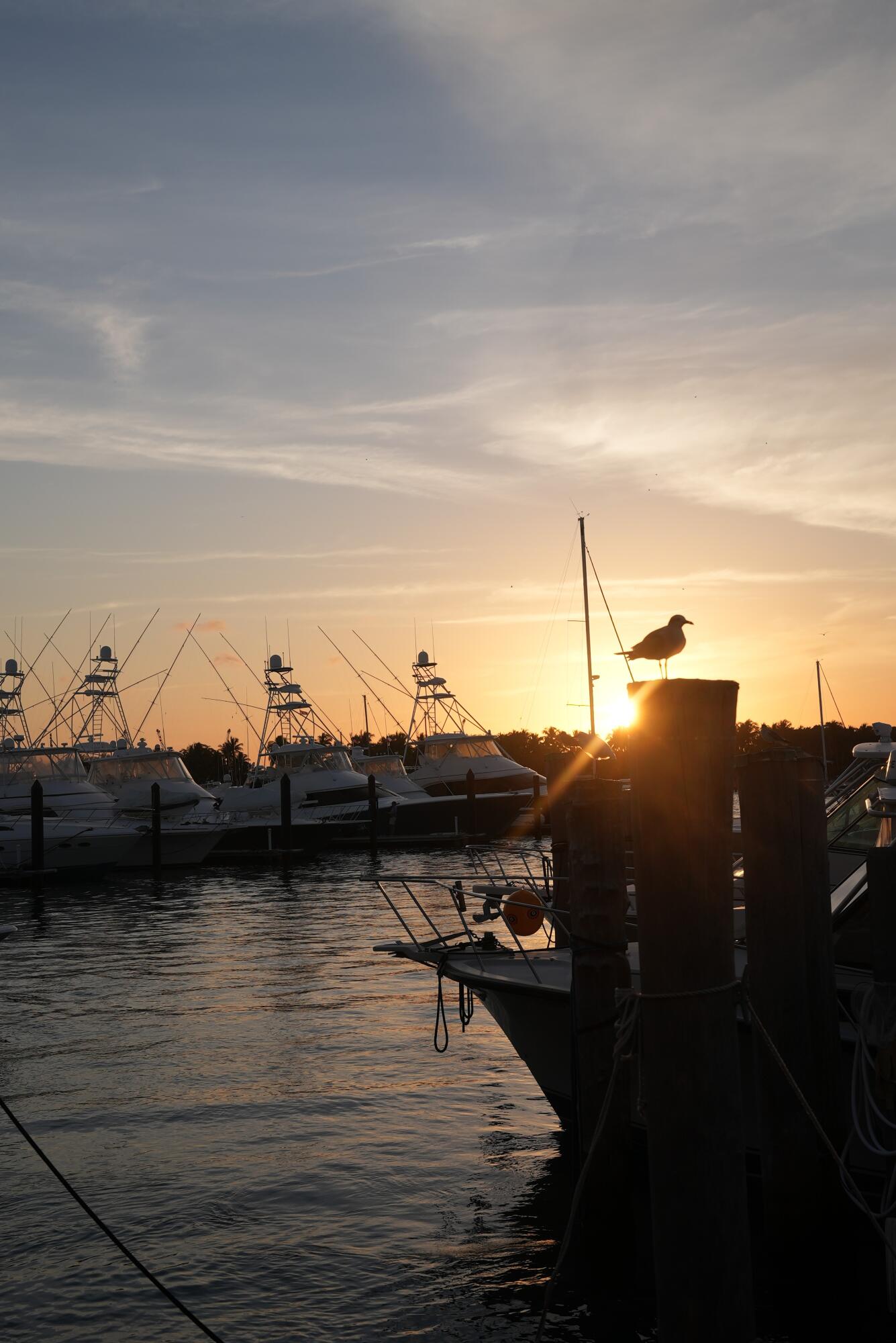 MLS #RX-11100703 image #22