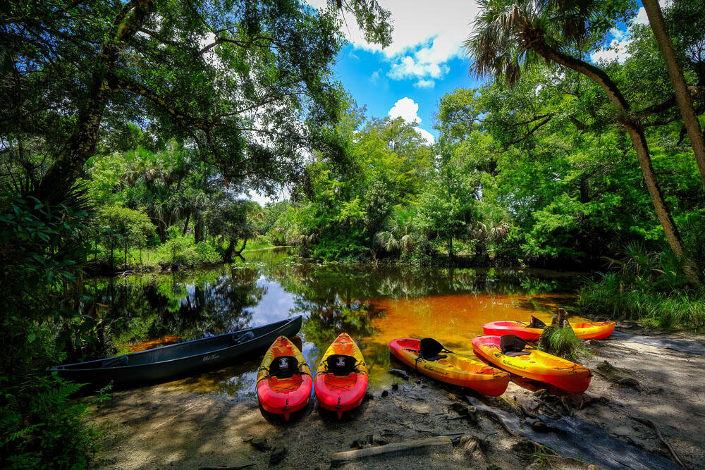 MLS #RX-11100886 image #63