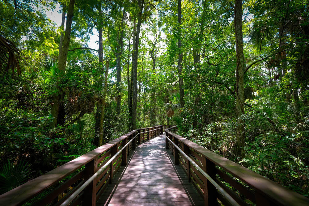 MLS #RX-11100886 image #64