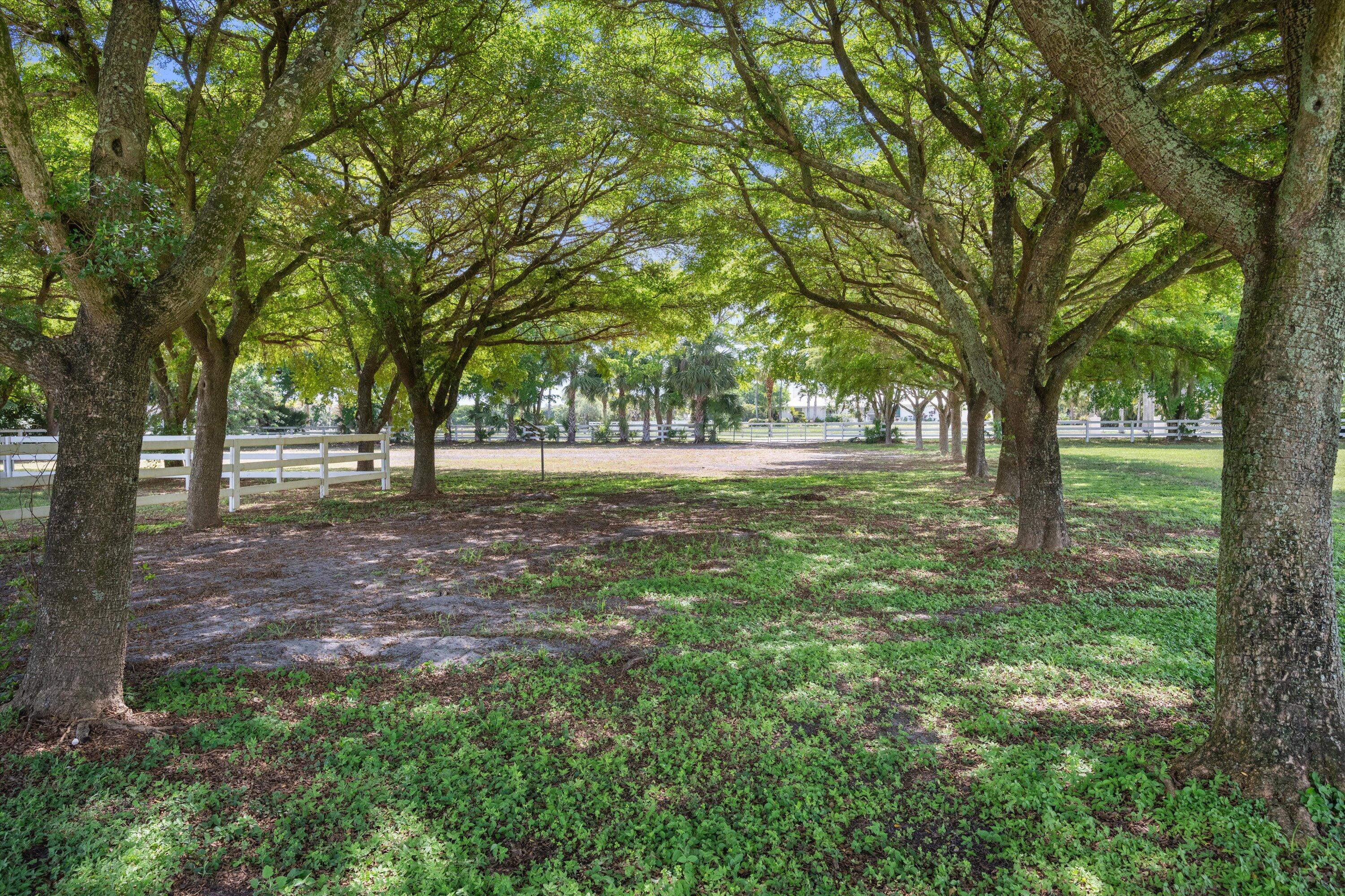 MLS #RX-11101353 image #114