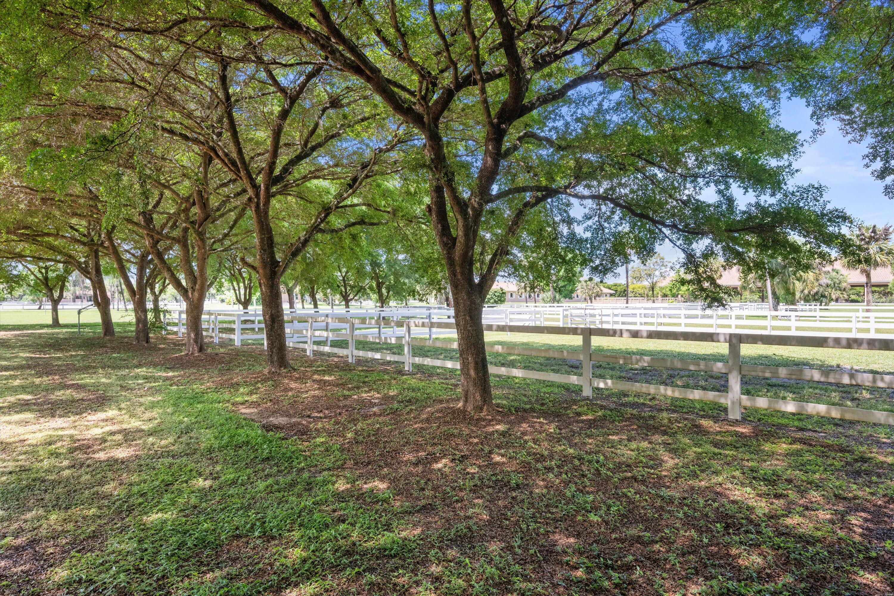 MLS #RX-11101353 image #115