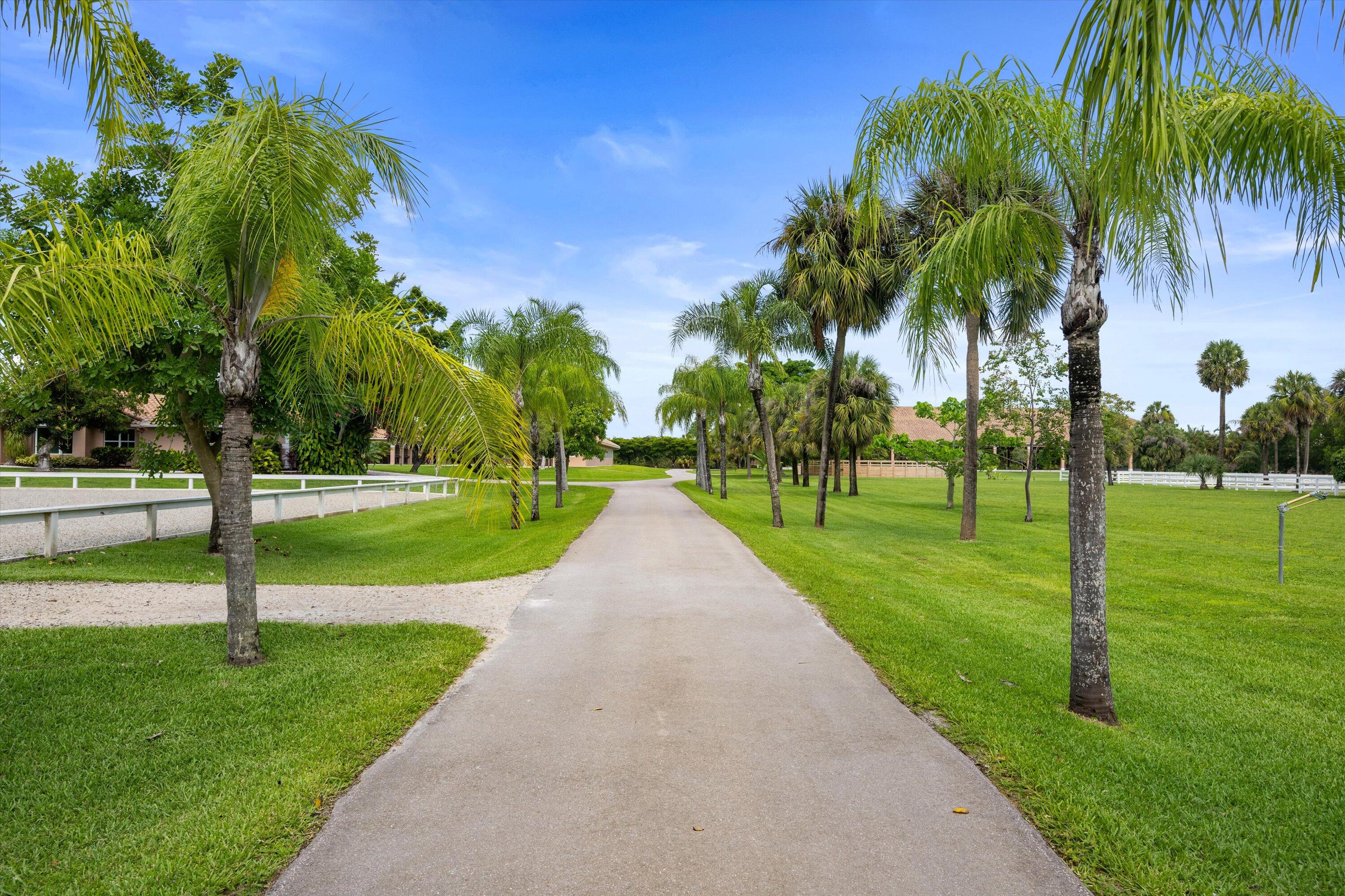 MLS #RX-11101353 image #6