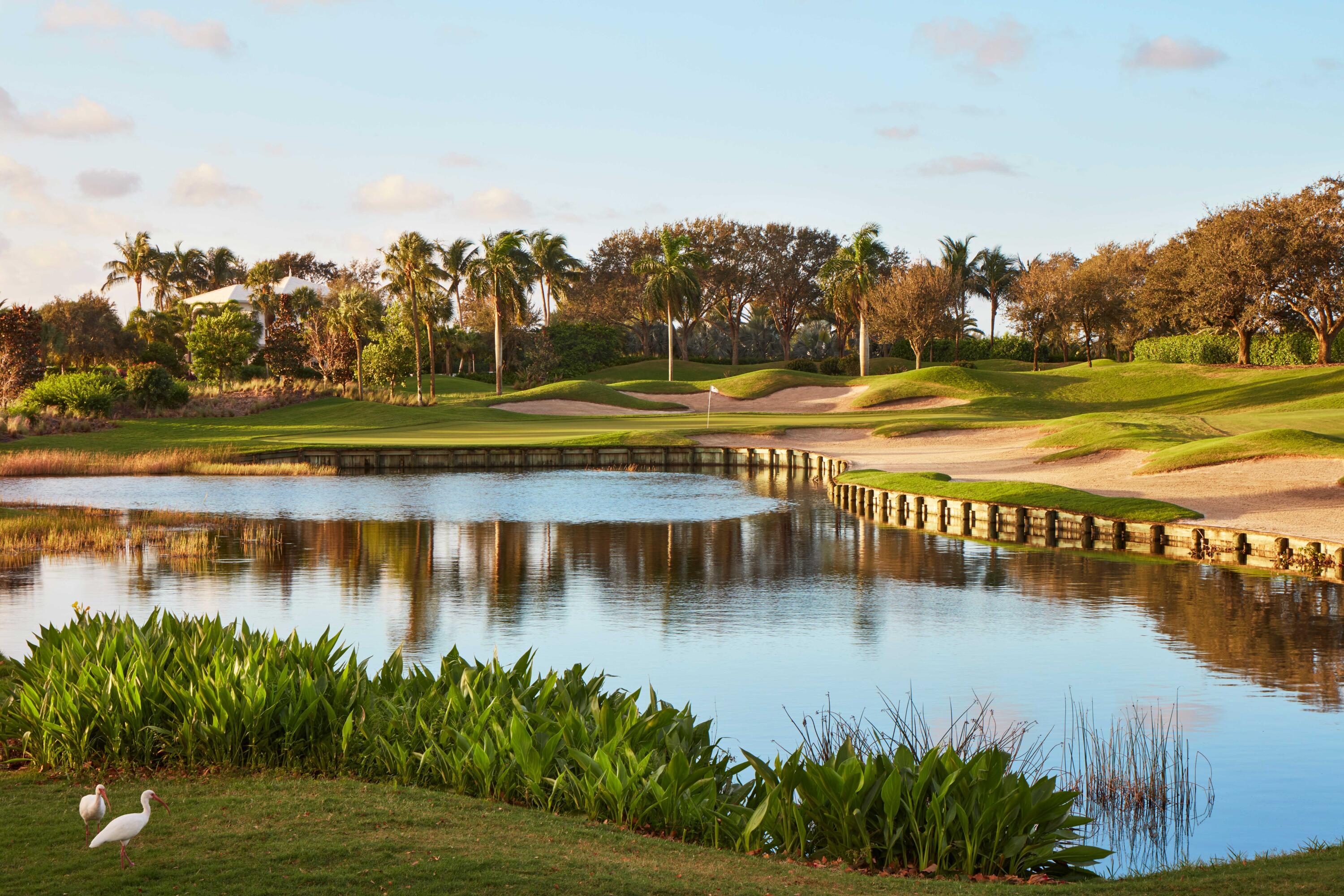 MLS #RX-11102033 image #9