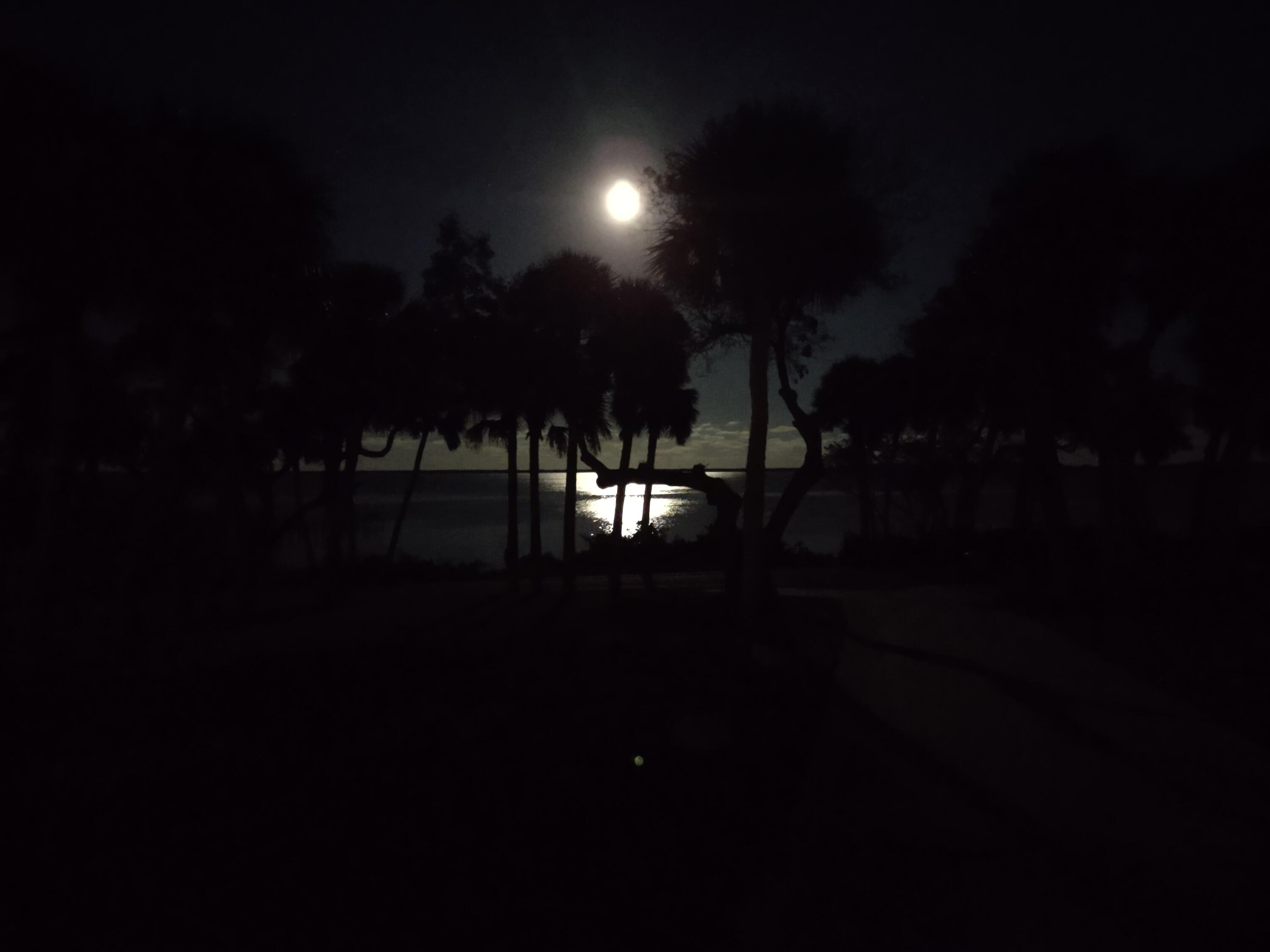 MLS #RX-11103157 image #54