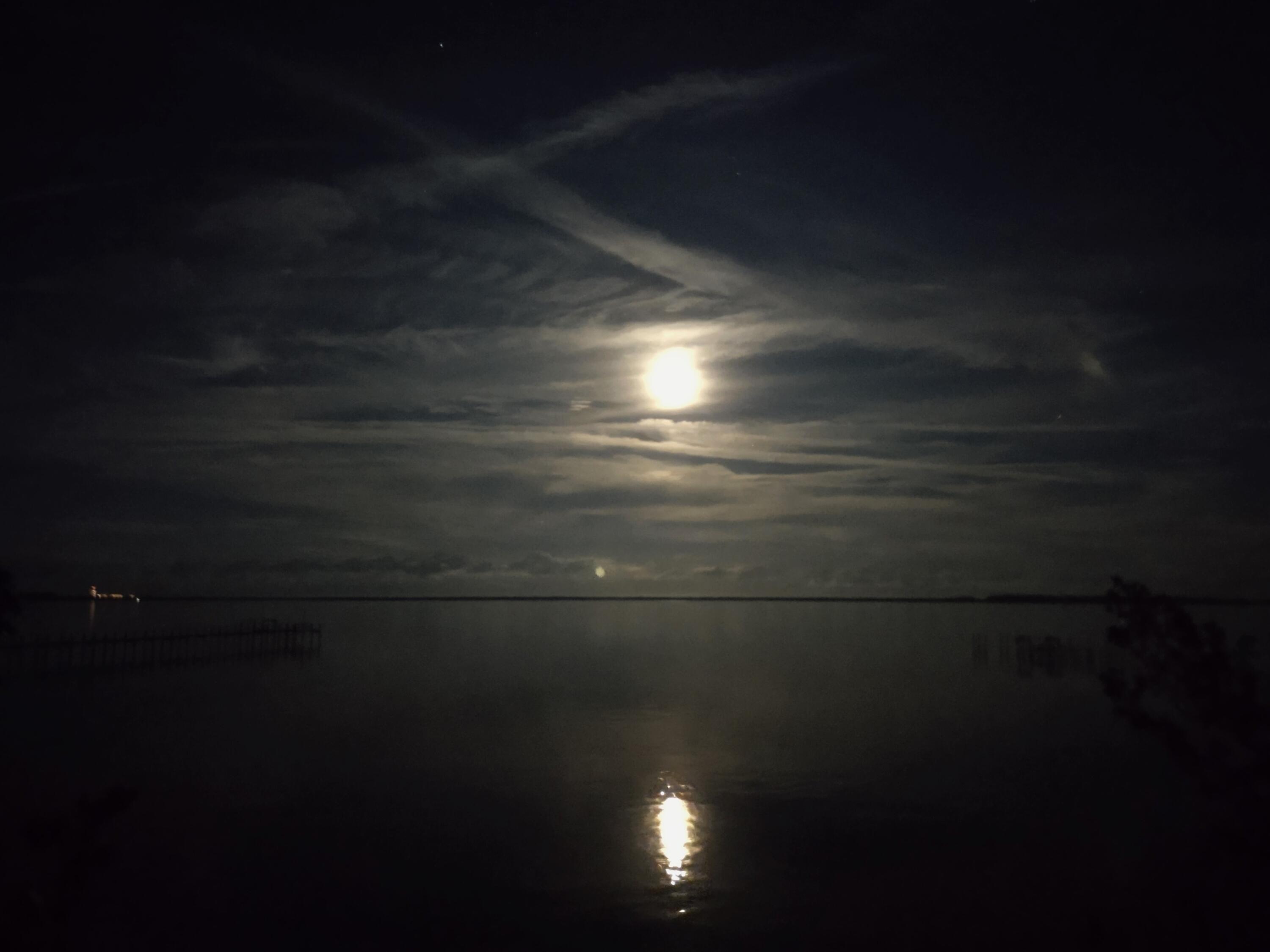 MLS #RX-11103157 image #55