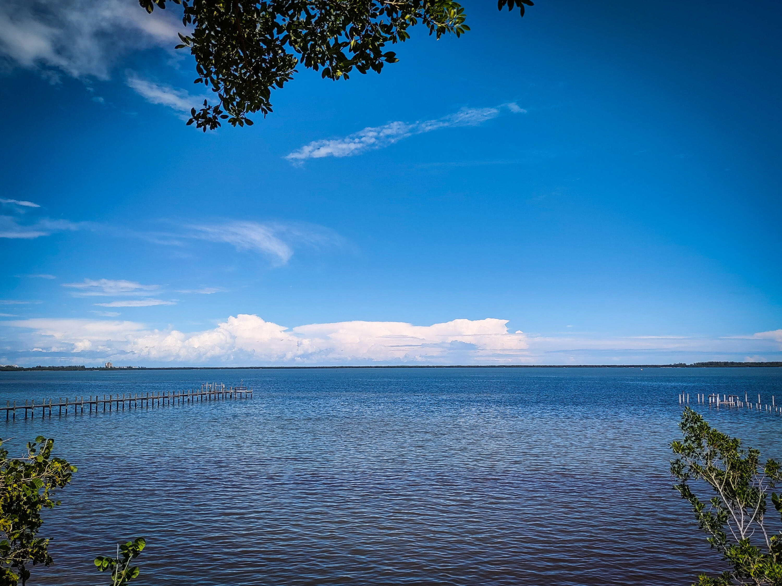 MLS #RX-11103157 image #9