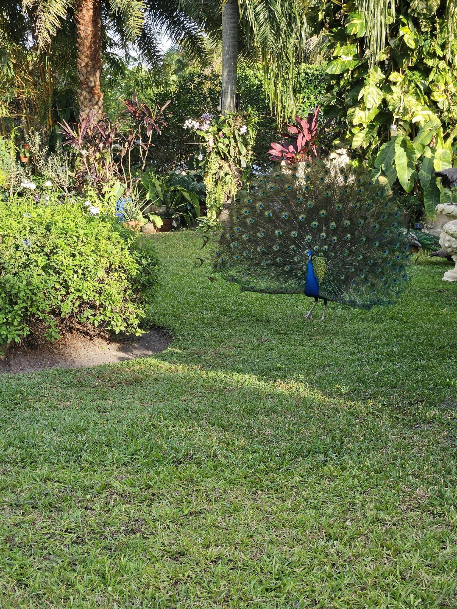 MLS #RX-11103263 image #41