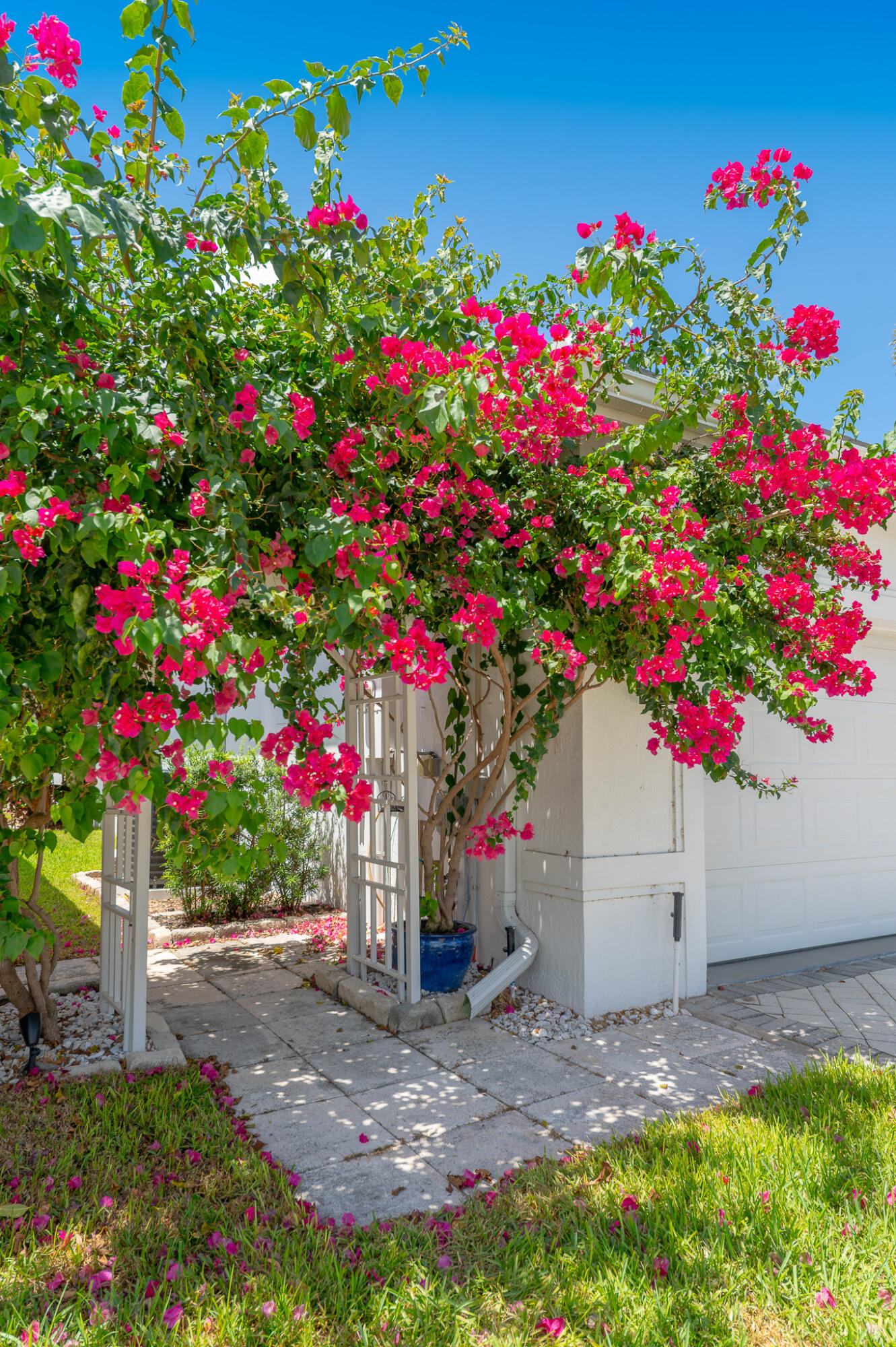 MLS #RX-11056024 image #1