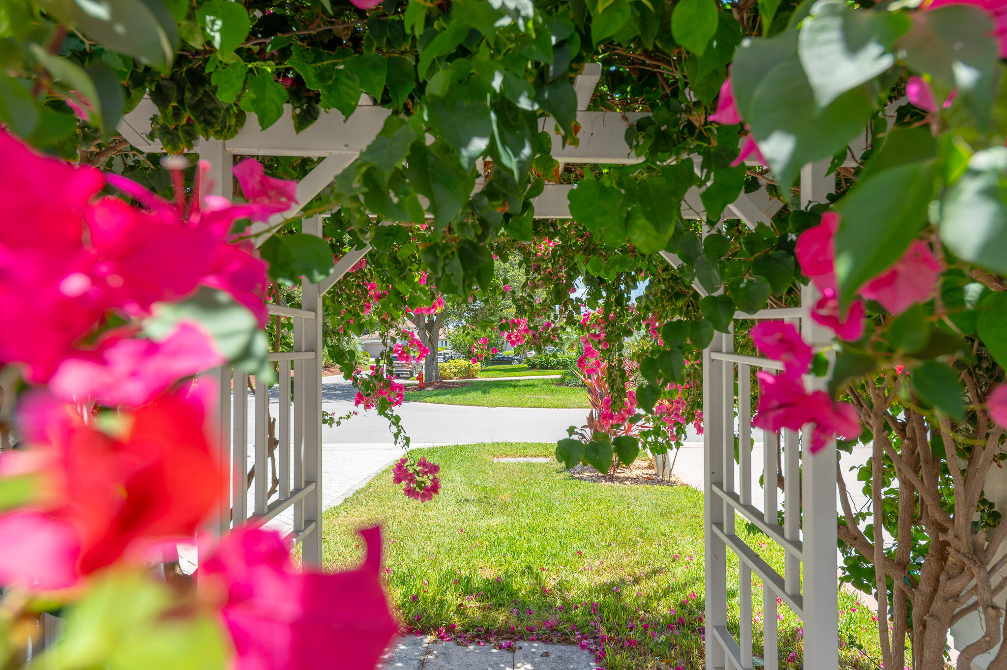 MLS #RX-11056024 image #33