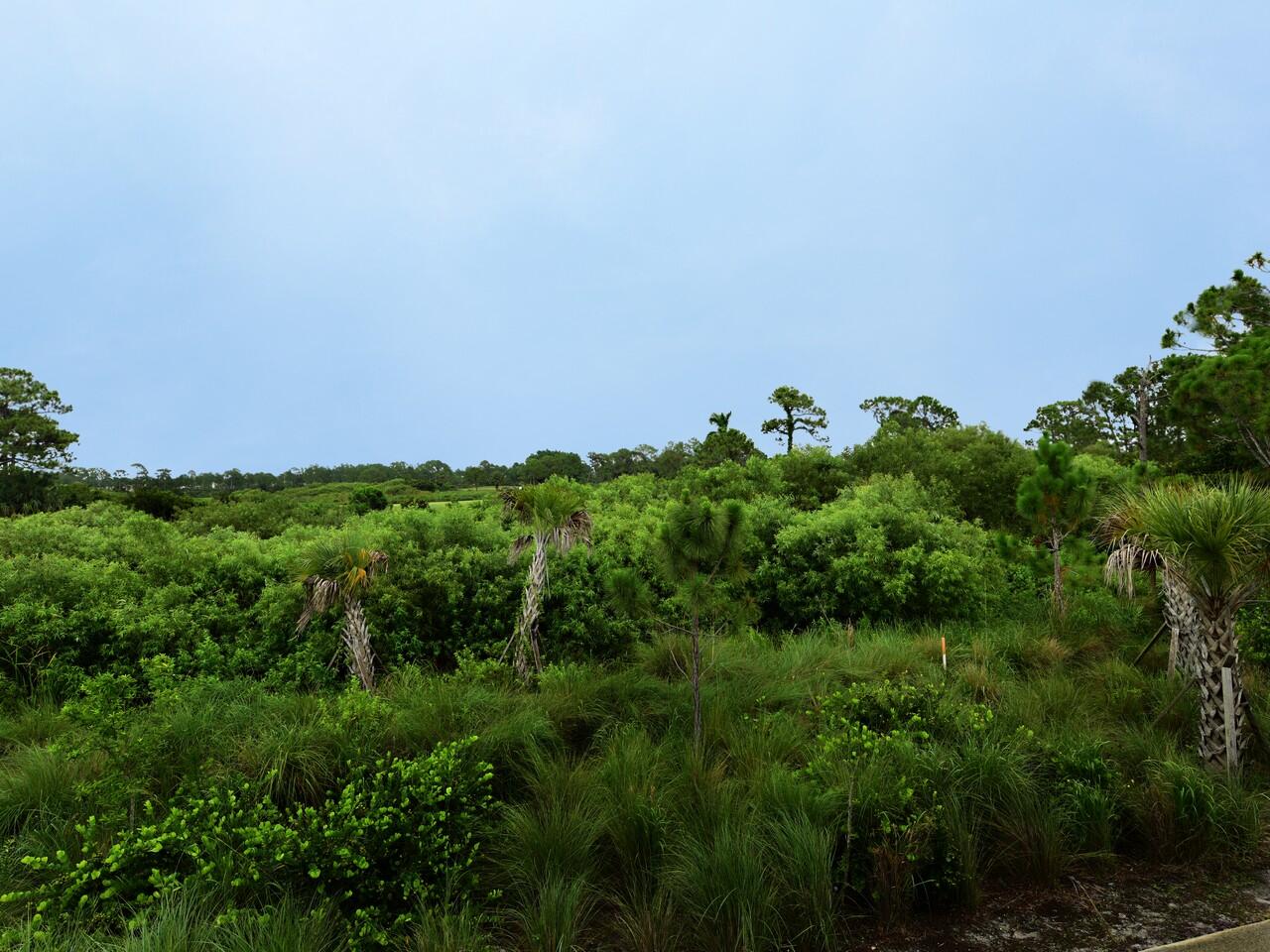 MLS #RX-11104096 image #35