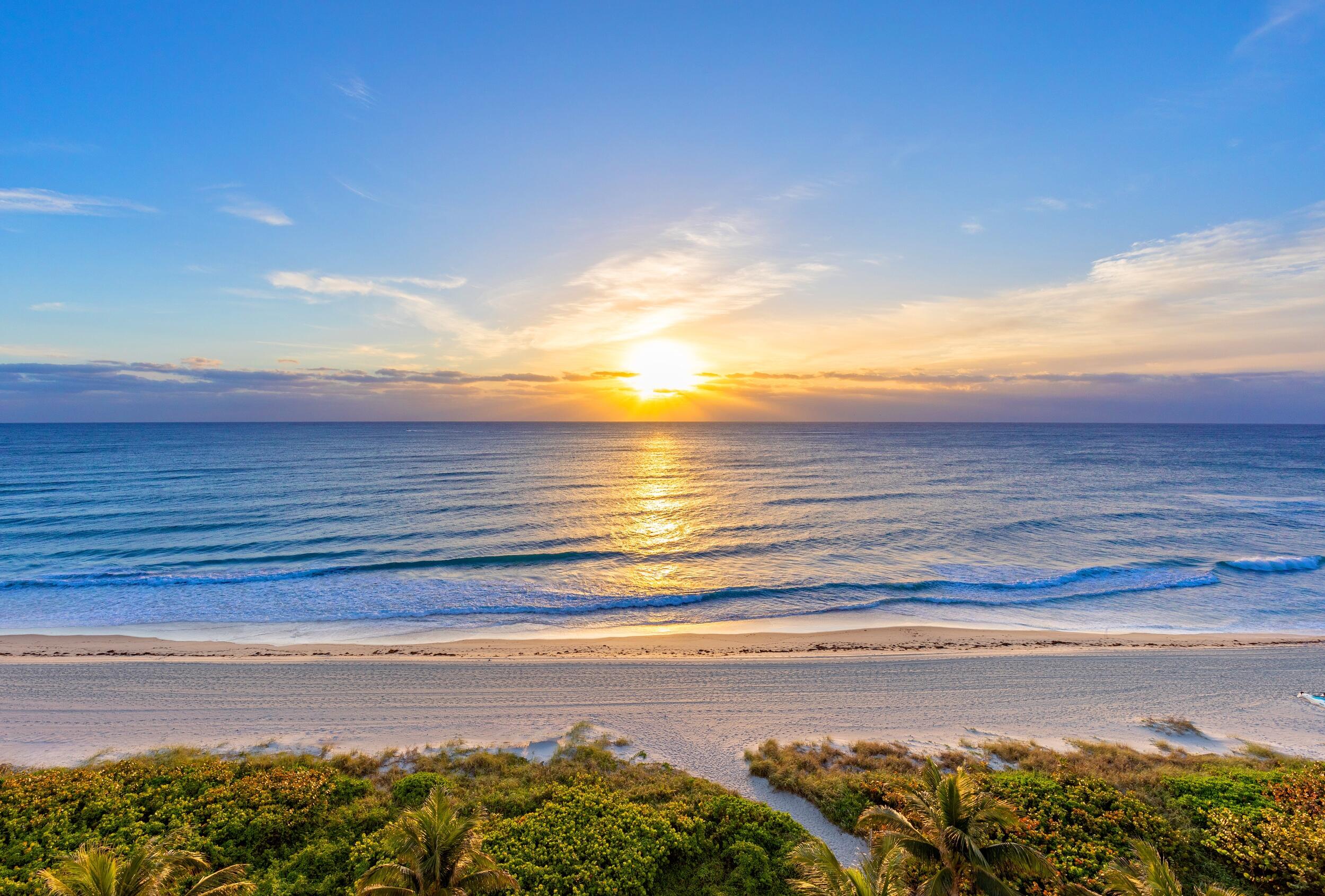 MLS #RX-11104396 image #37