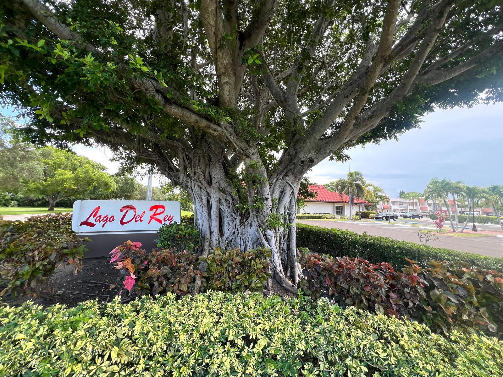 MLS #RX-10610773 image #27