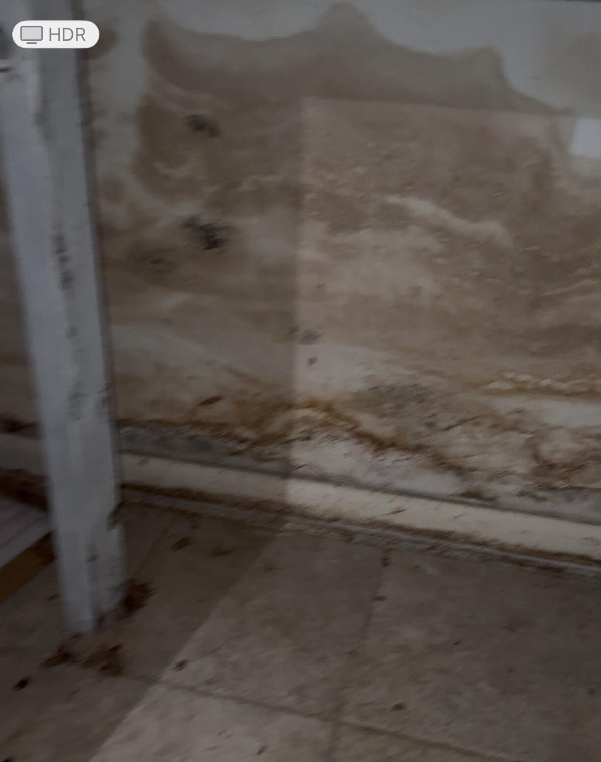 MLS #RX-11104884 image #2