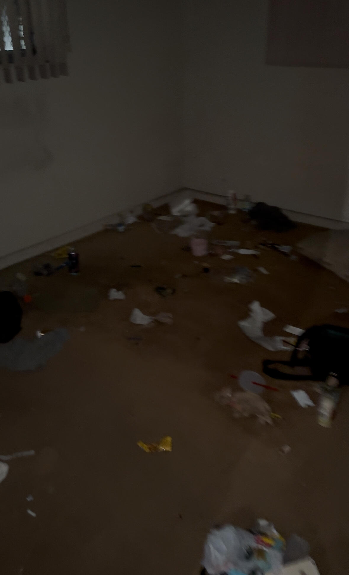 MLS #RX-11104884 image #5