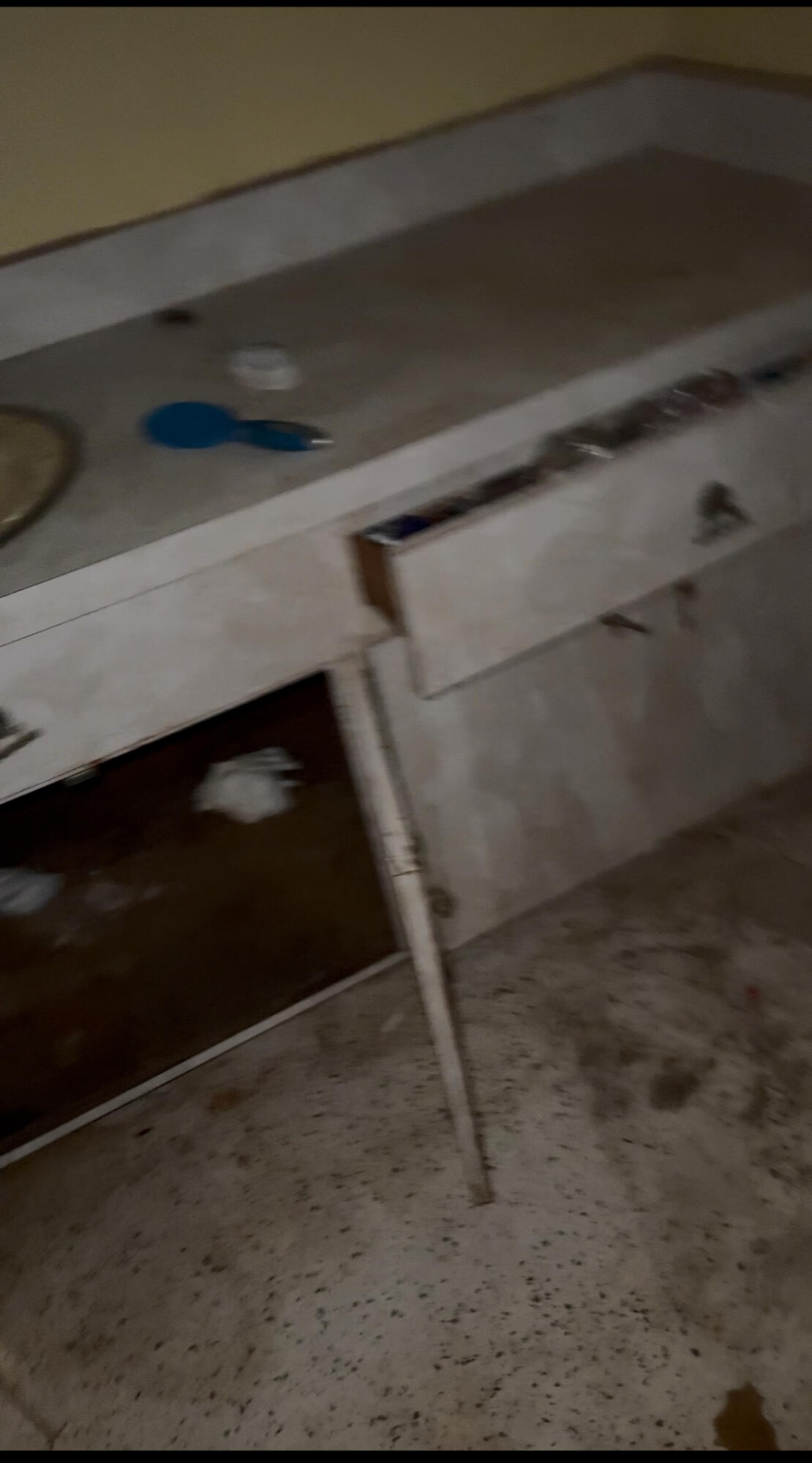 MLS #RX-11104884 image #6