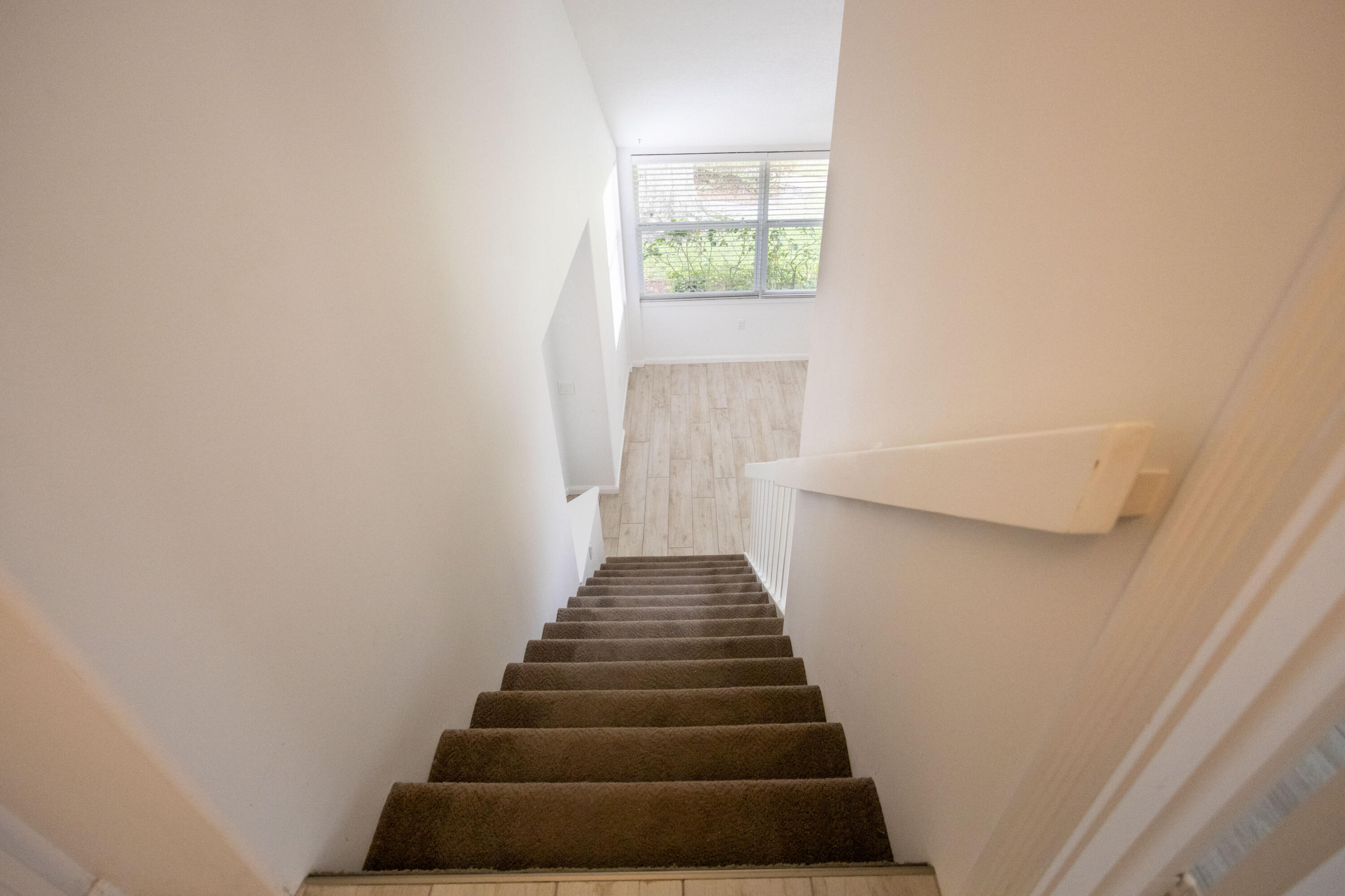 MLS #RX-11105430 image #12