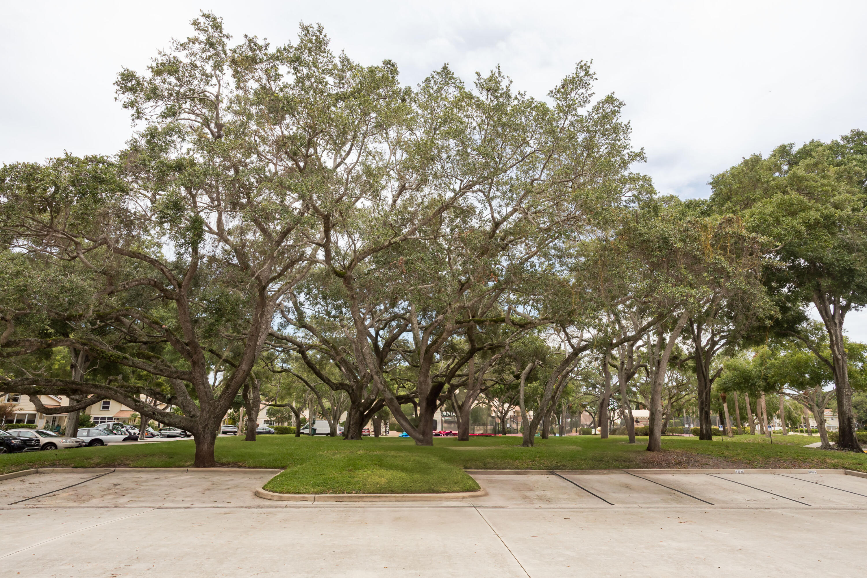 MLS #RX-11105430 image #49