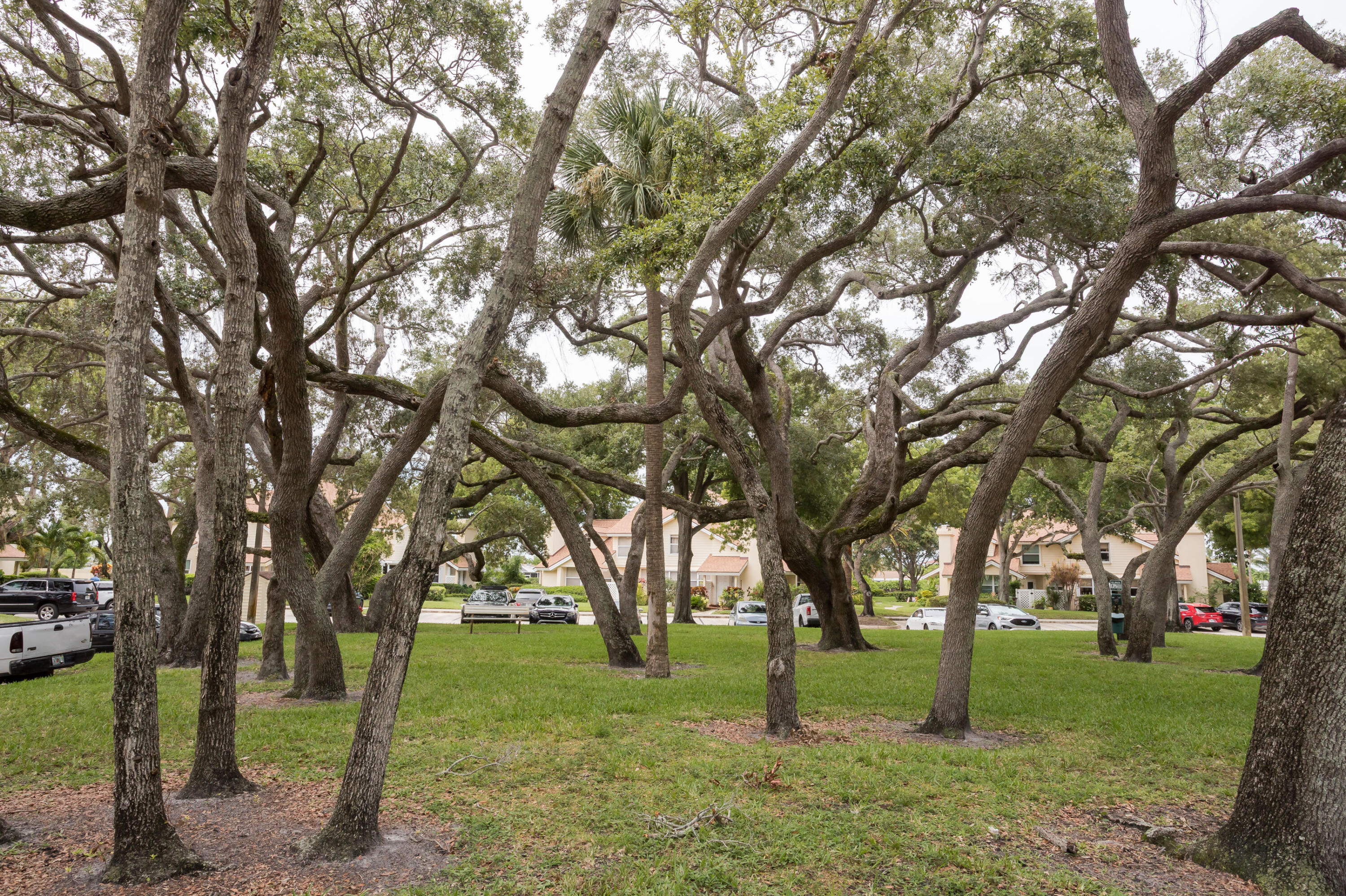 MLS #RX-11105430 image #50