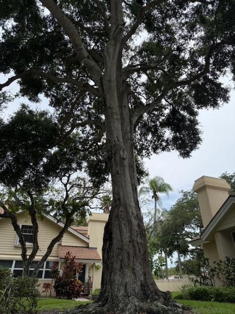 MLS #RX-11105430 image #51