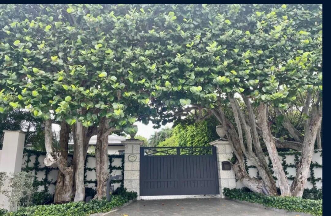 MLS #RX-11106446 image #11