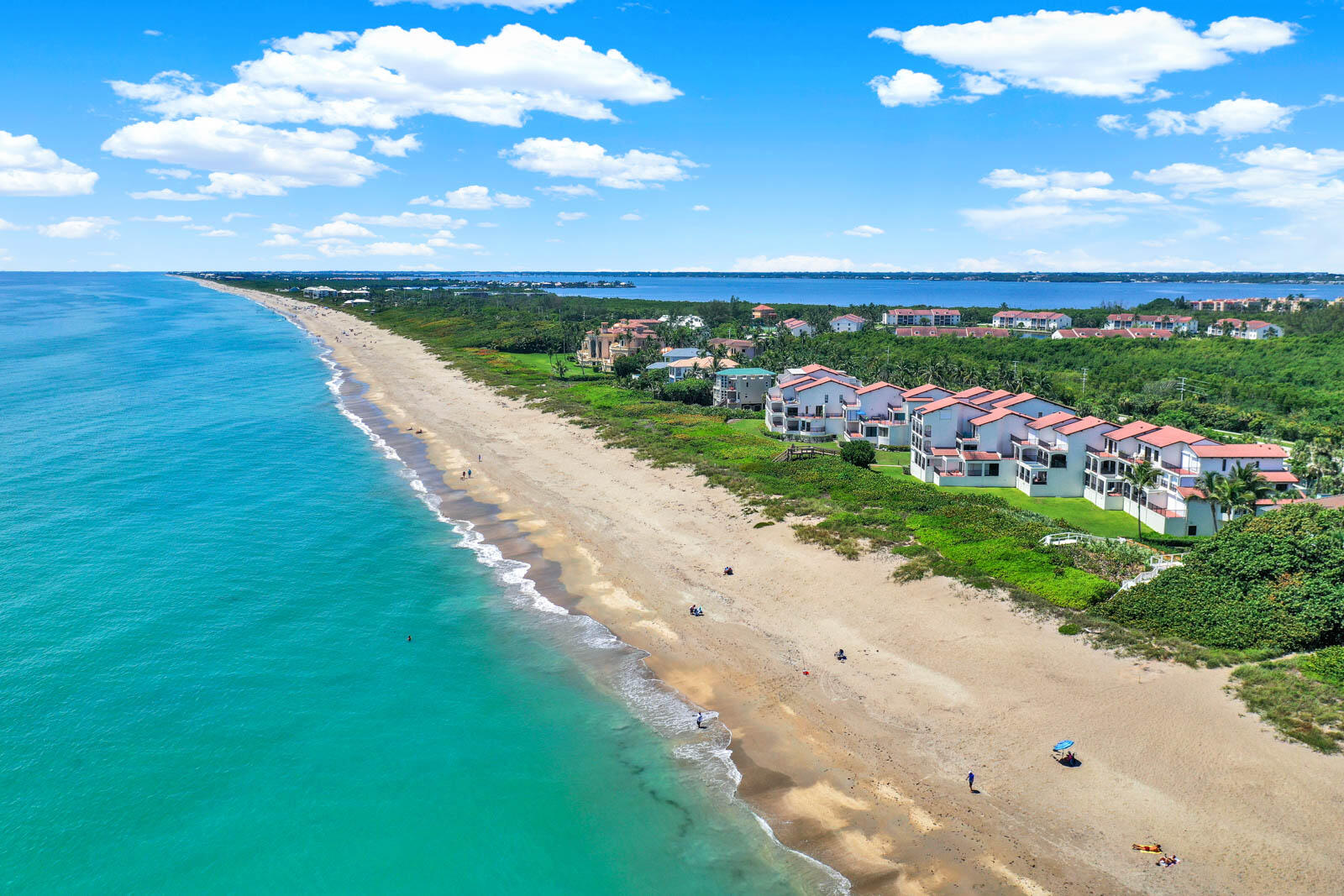 MLS #RX-11107381 image #66