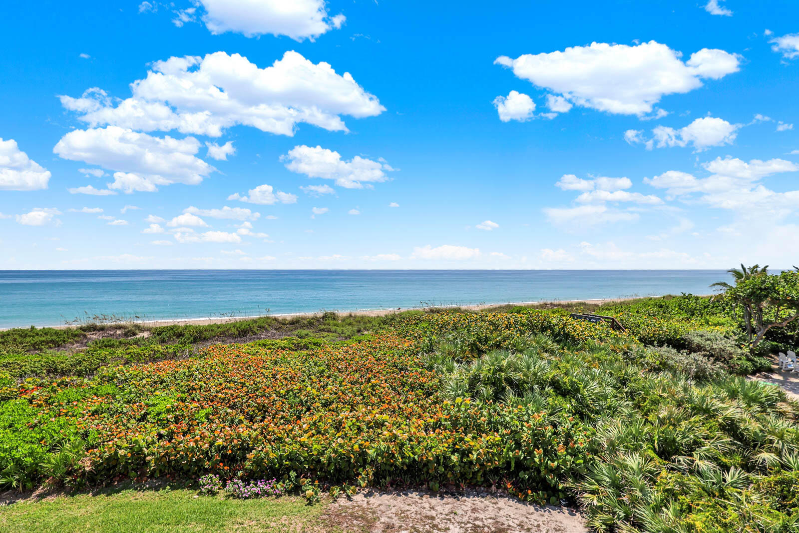 MLS #RX-11107381 image #8