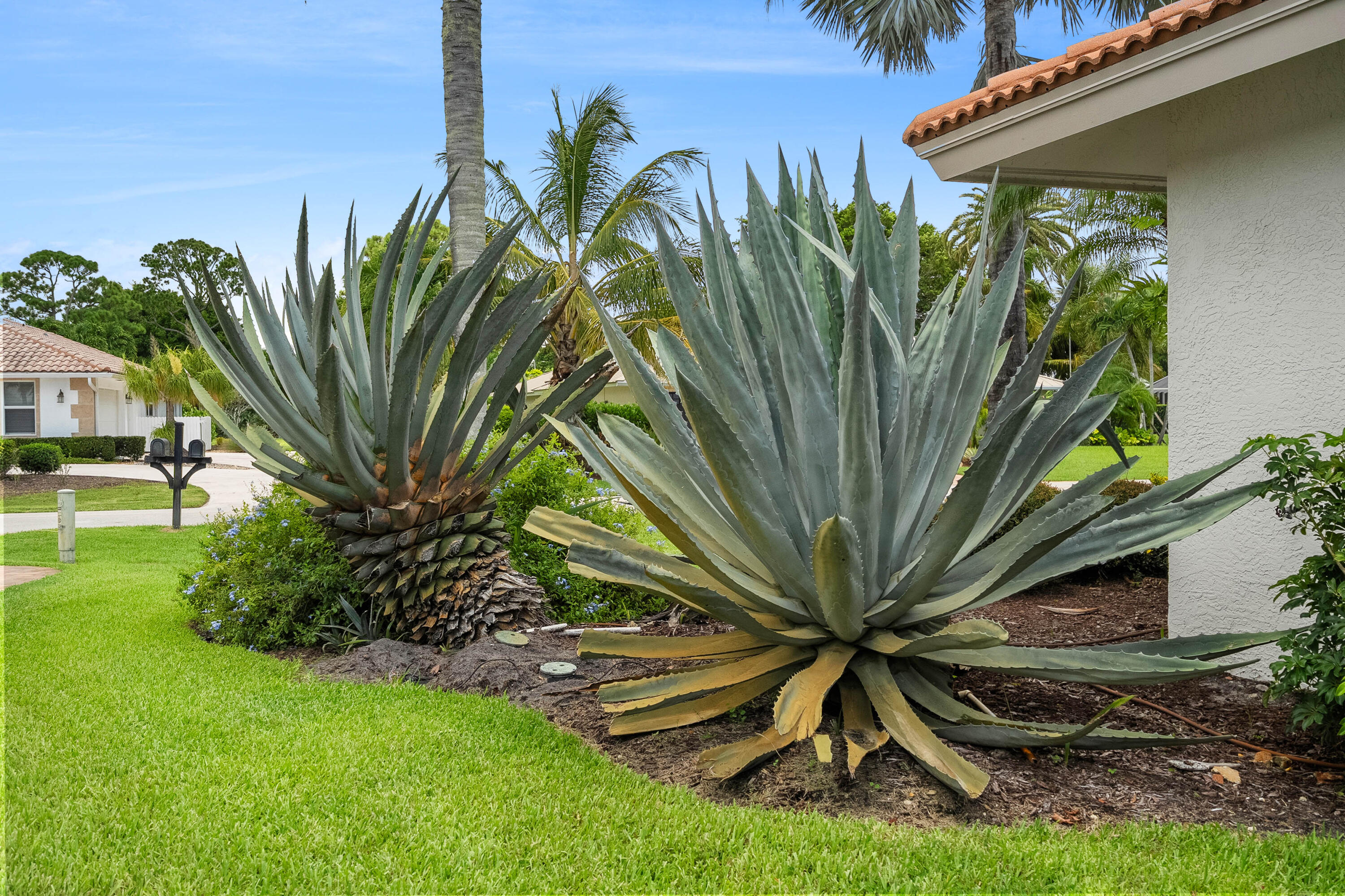 MLS #RX-11108321 image #66