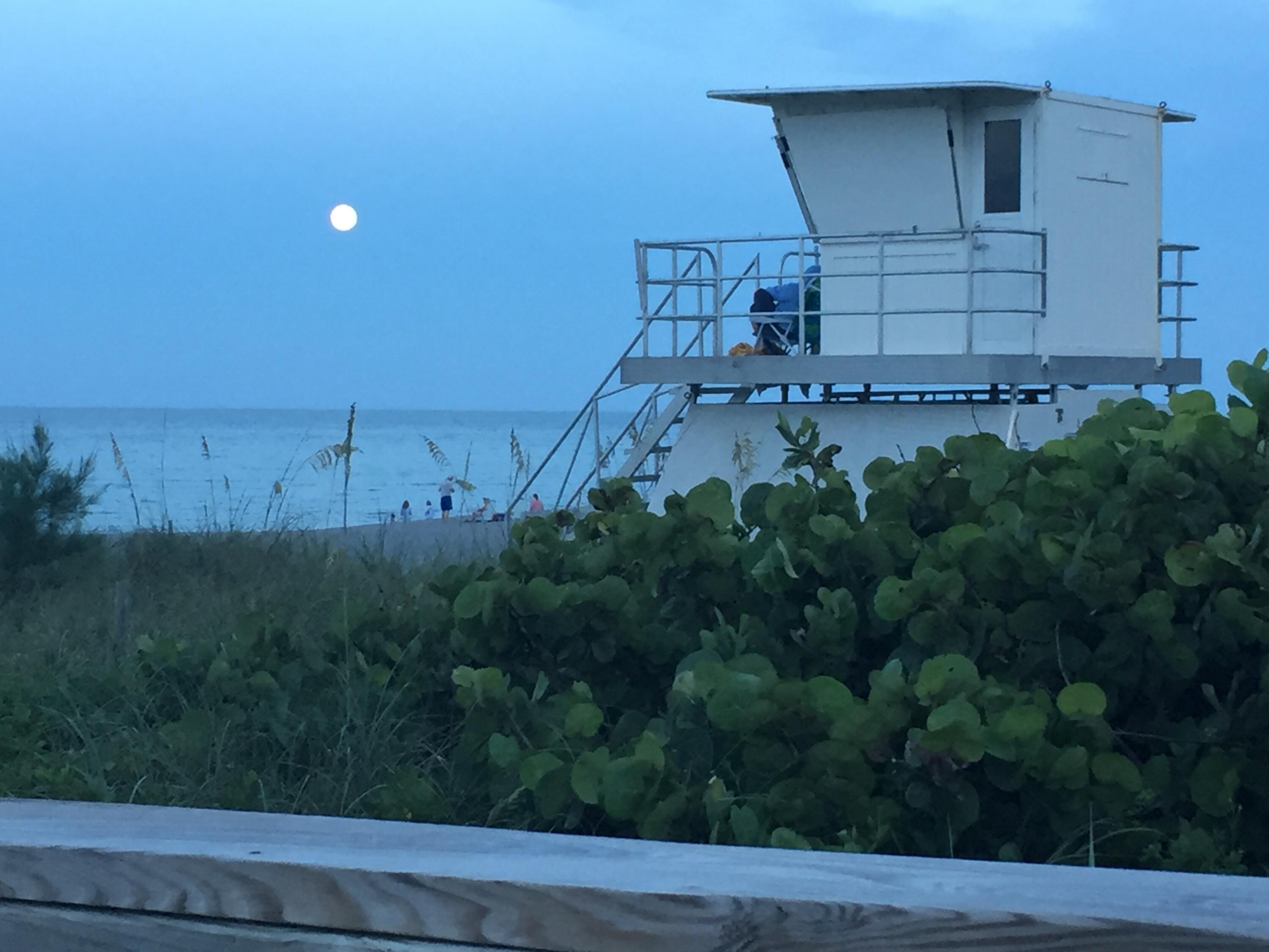 MLS #RX-11108321 image #76