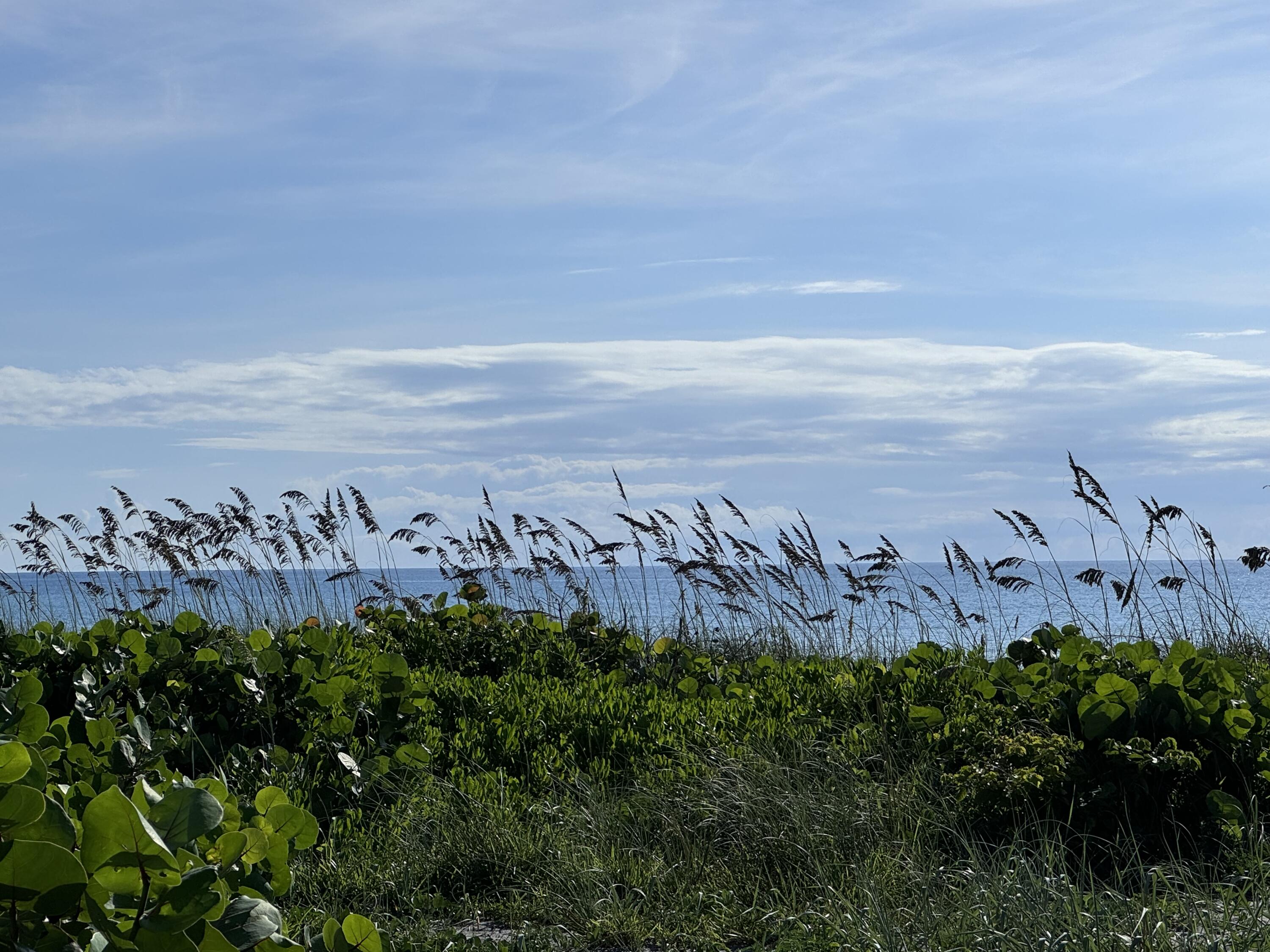 MLS #RX-11108321 image #77