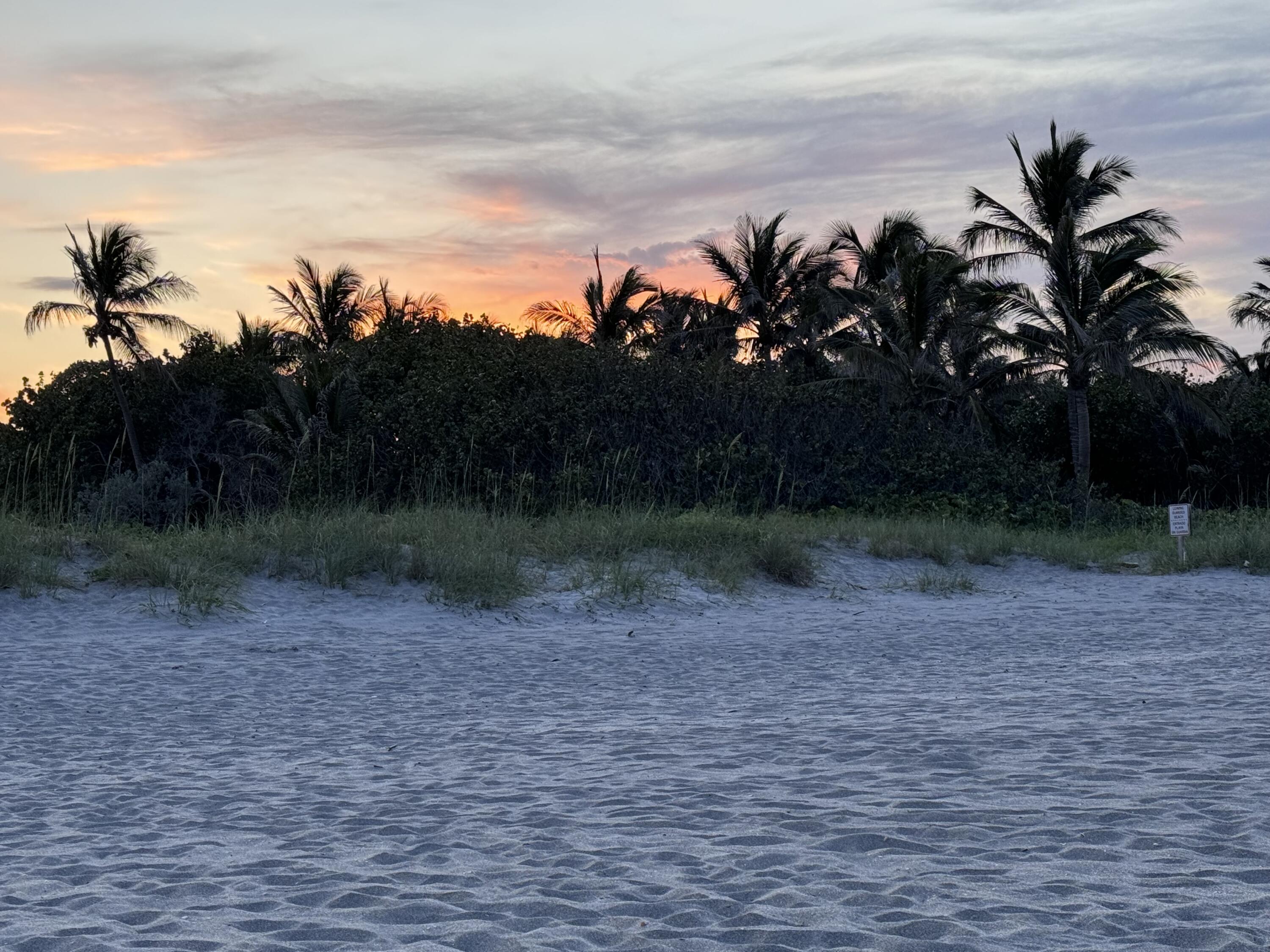 MLS #RX-11108321 image #78