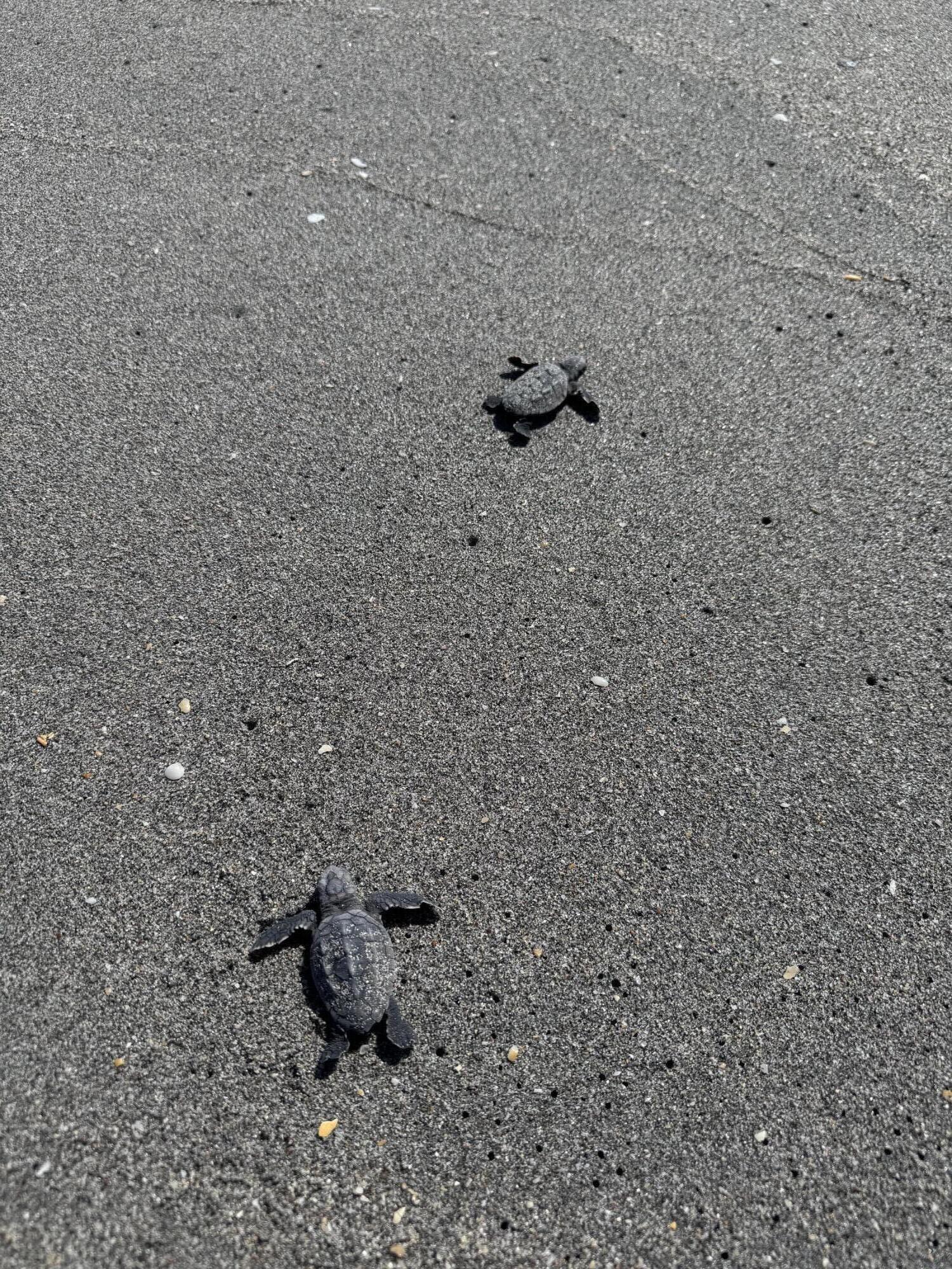 MLS #RX-11108321 image #80