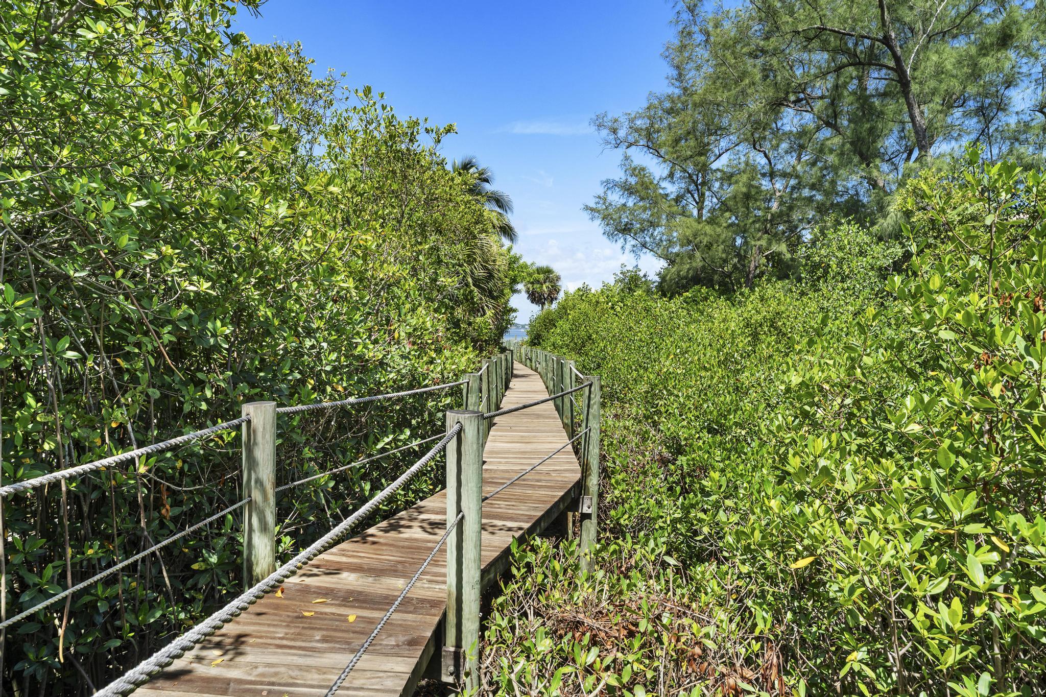 MLS #RX-11109538 image #65