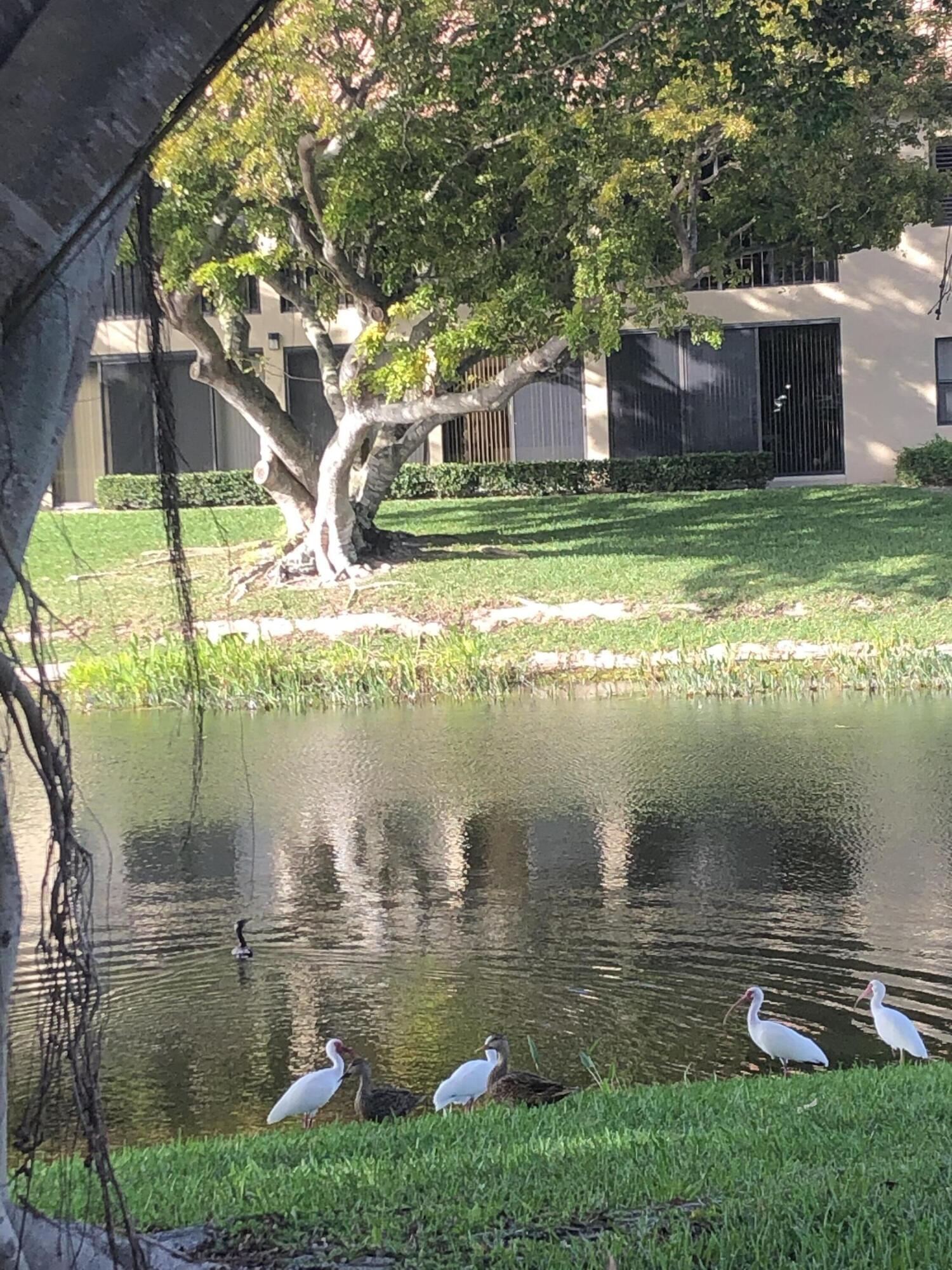 MLS #RX-11109563 image #49