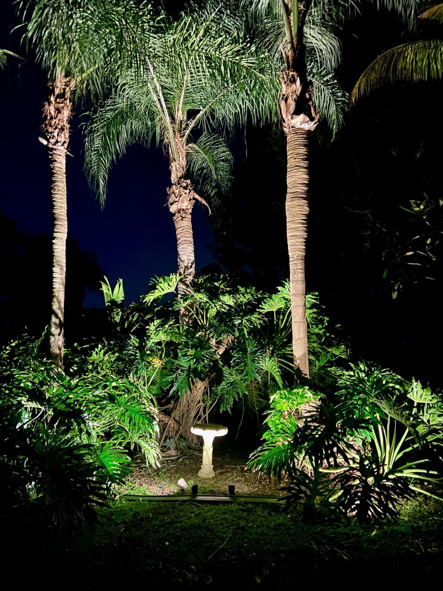 MLS #RX-11111203 image #0