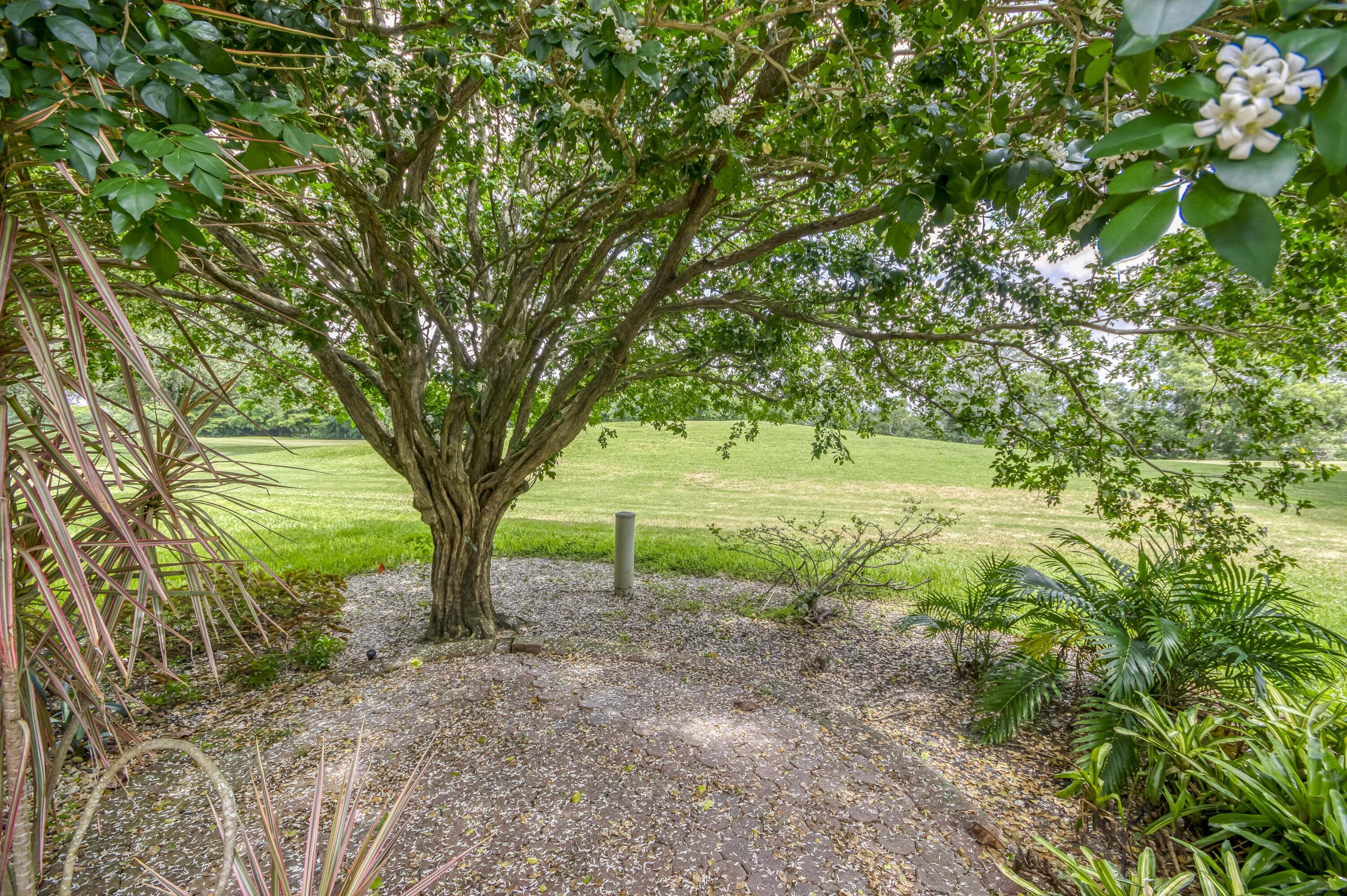 MLS #RX-11112353 image #23